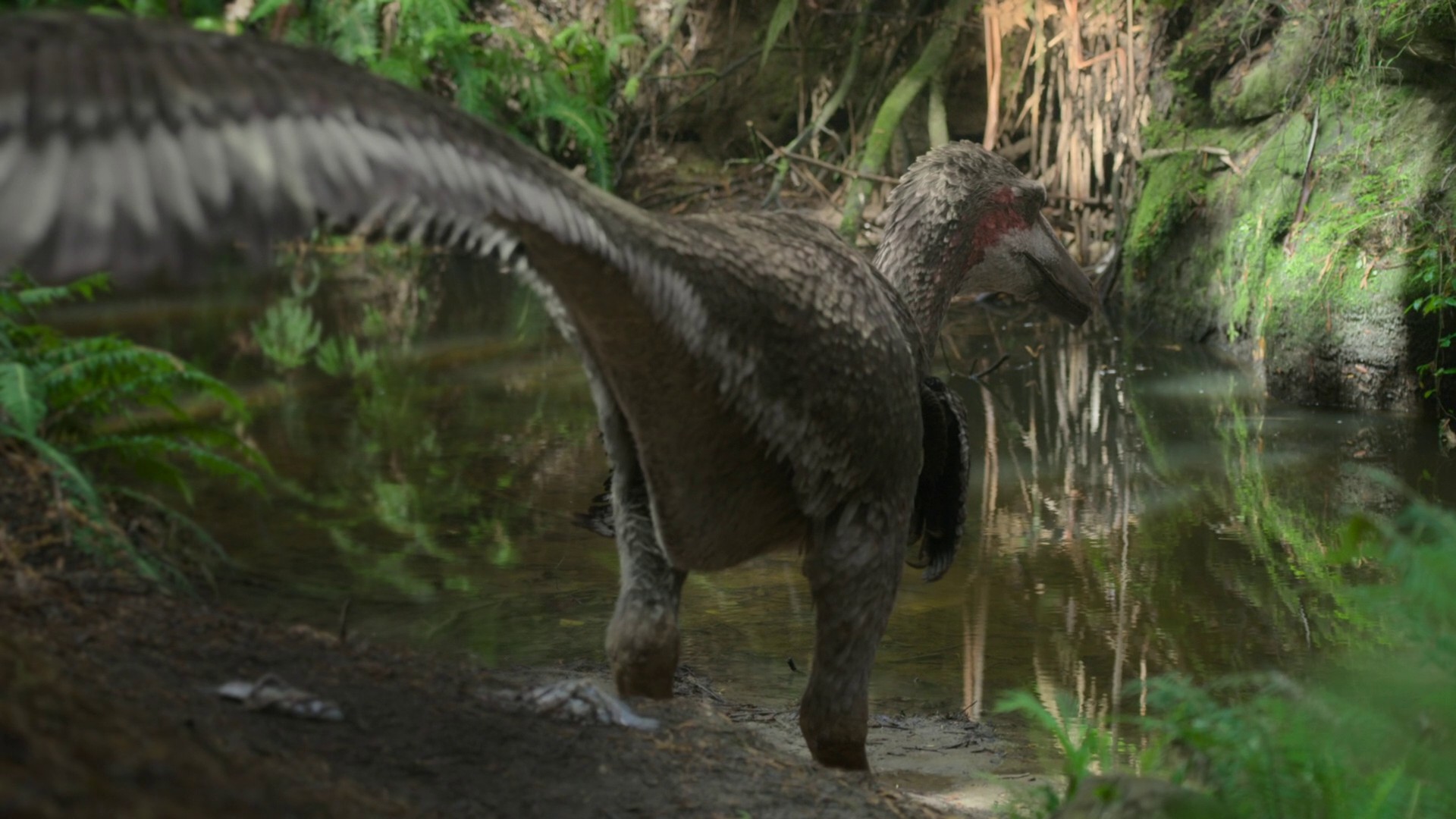 Swamps (2023) —  shot,  lighting