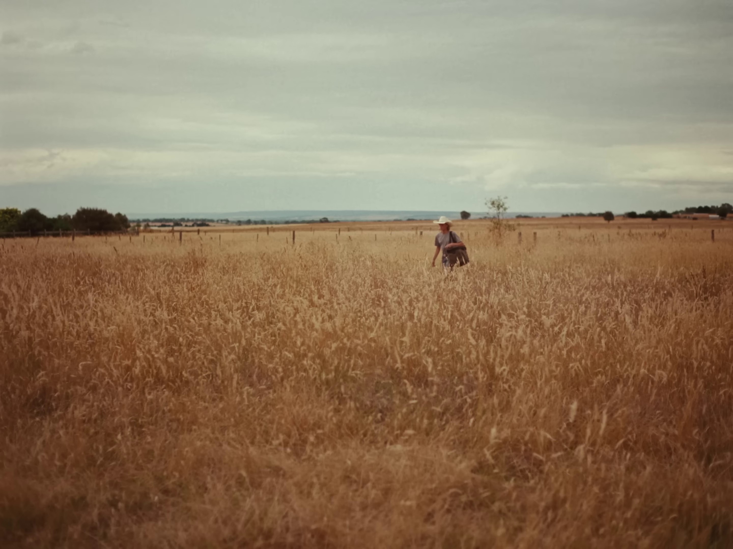 Take My Heart (2023) —  shot,  lighting