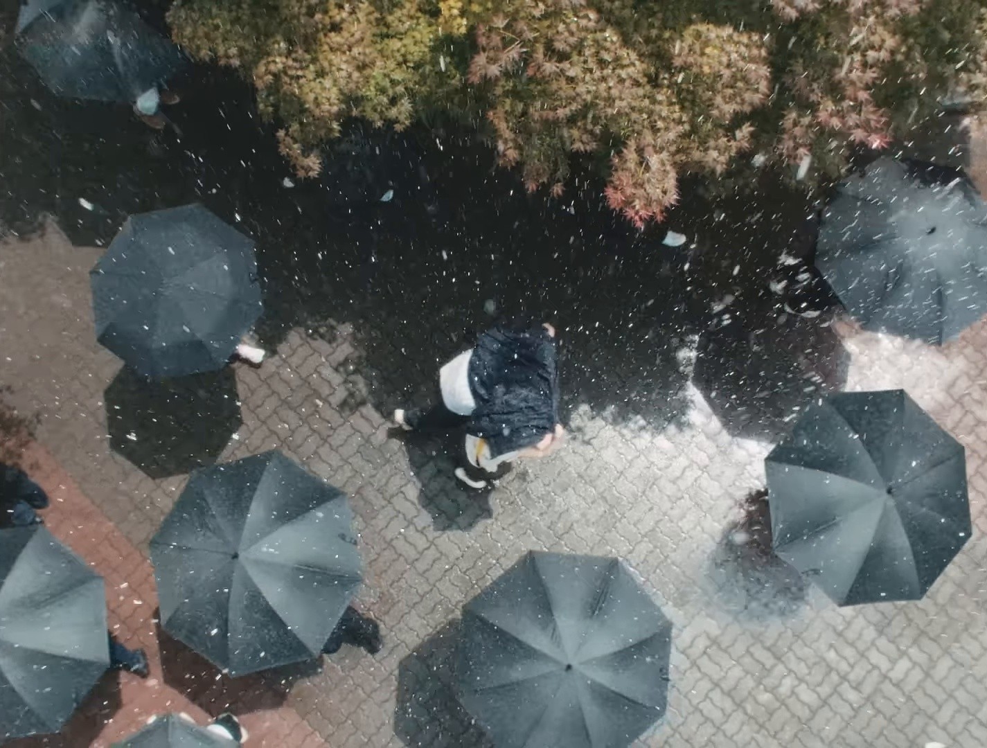 첫키스가 마지막키스 된 썰 (2023) —  shot,  lighting