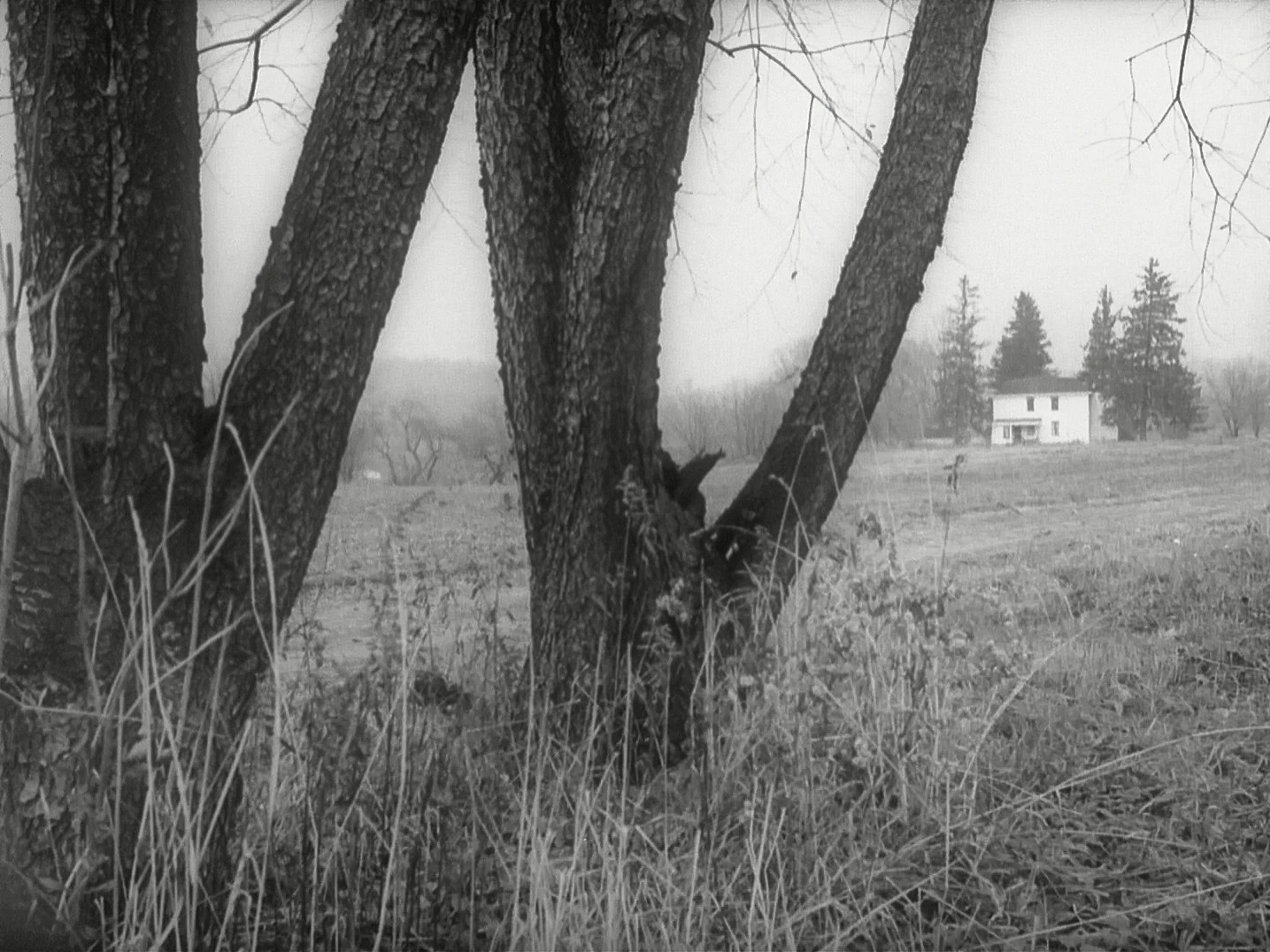 Night of the Living Dead (1968) —  shot,  lighting