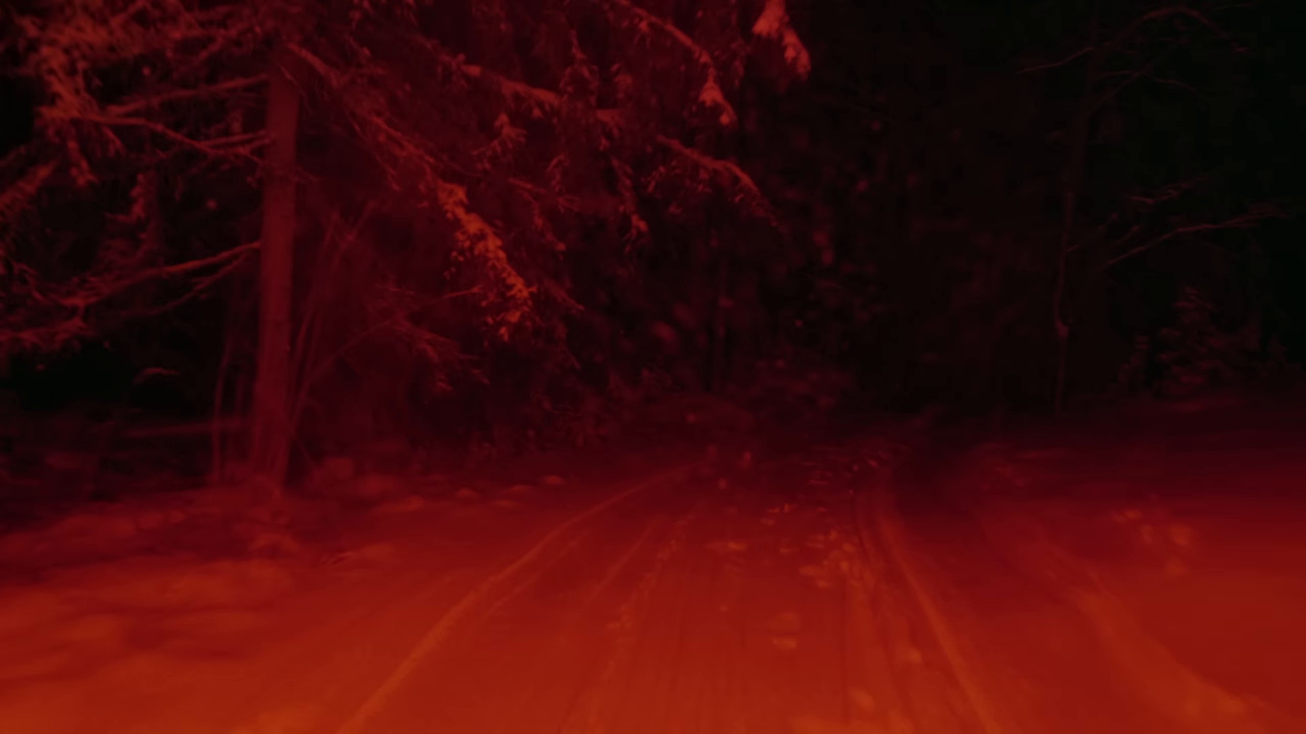 La Chica-cá (2024) —  shot,  lighting