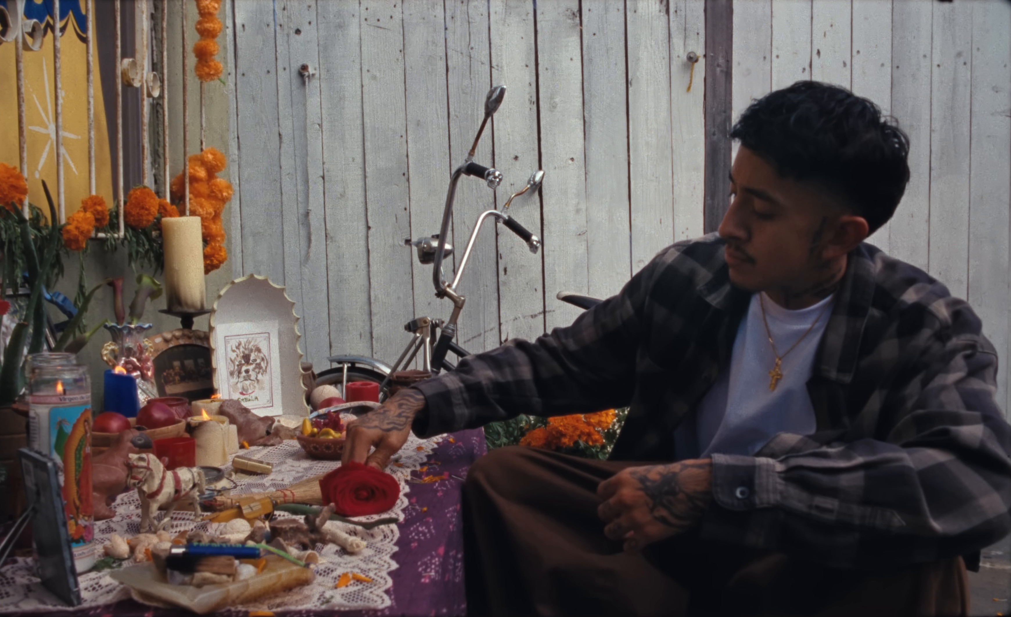 Dreamin’ (2025) —  shot,  lighting