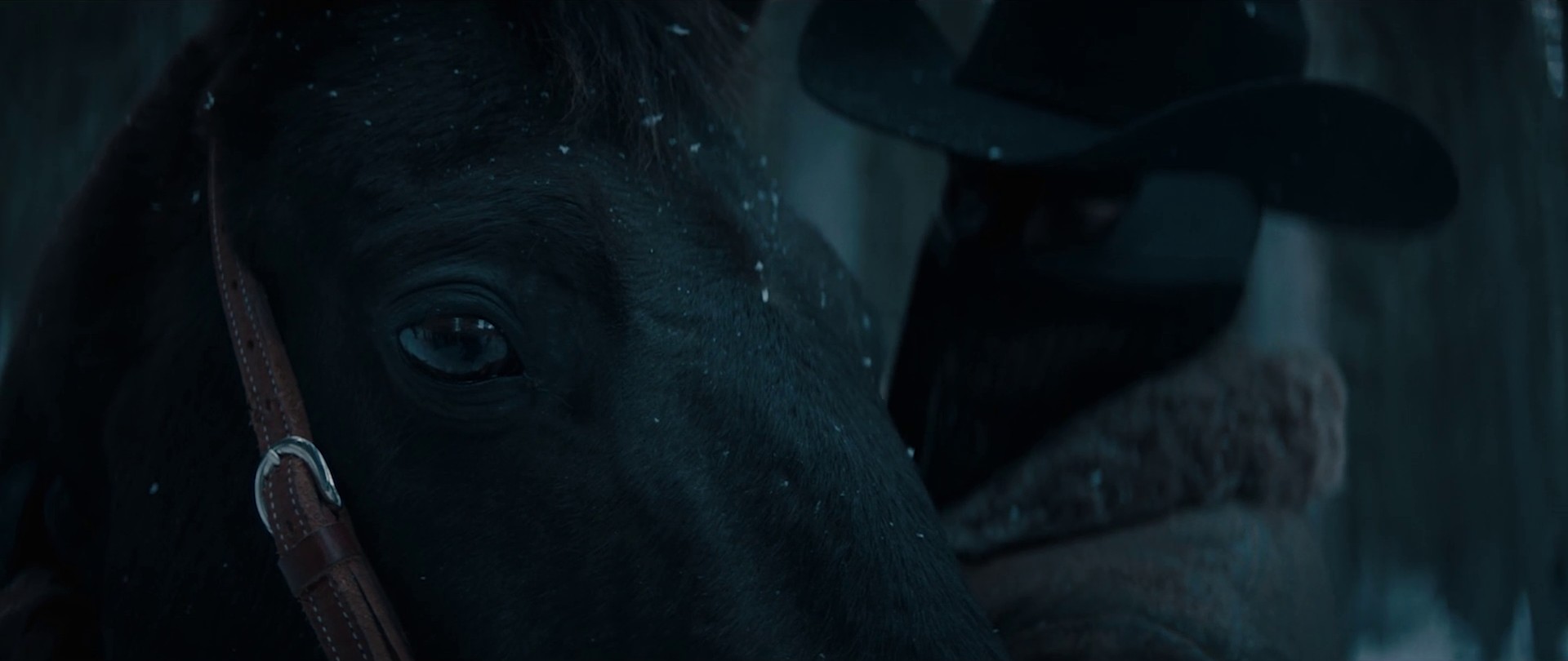 No glory in the West (2020) —  shot,  lighting