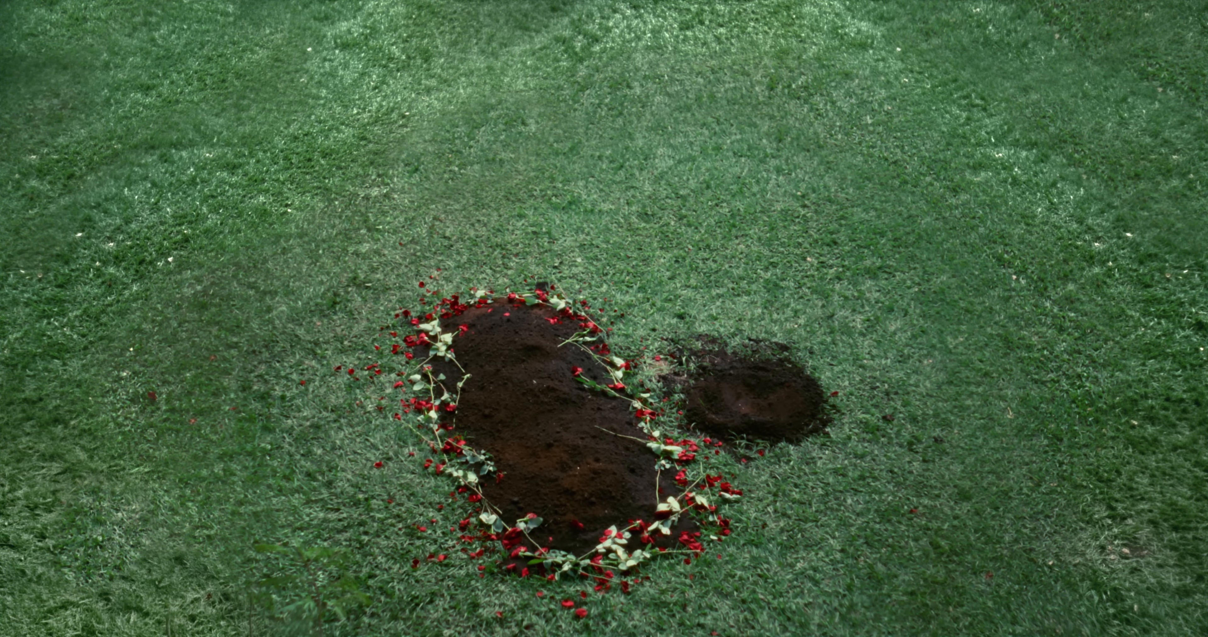 Despacha (2025) —  shot,  lighting