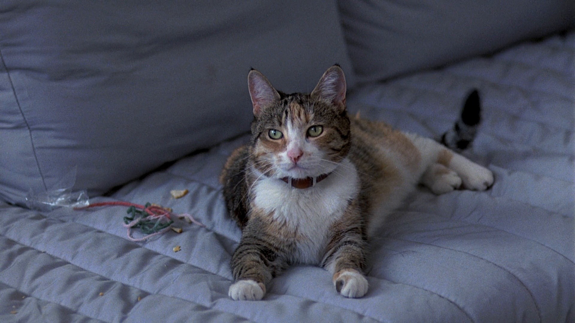 Tempest (1983) —  shot,  lighting