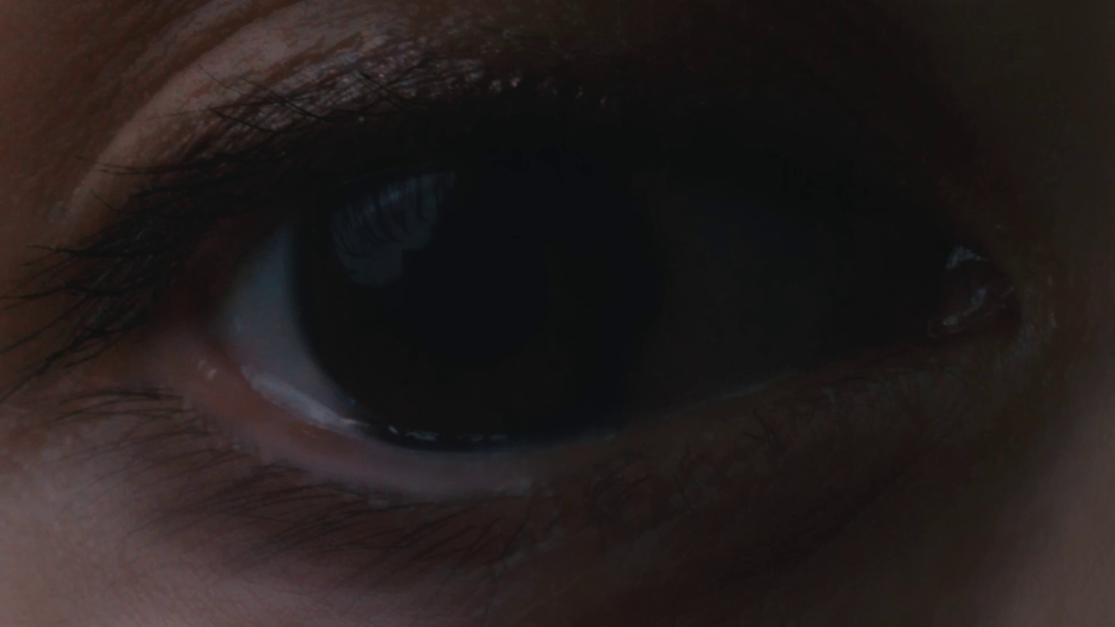 Shadow Dance (2023) —  shot,  lighting