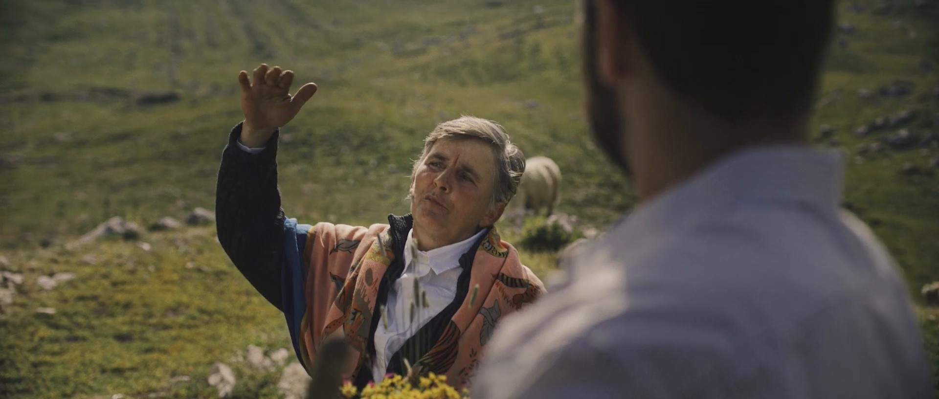 Montenegro - Uncover your wild side (2024) (2024) —  shot,  lighting