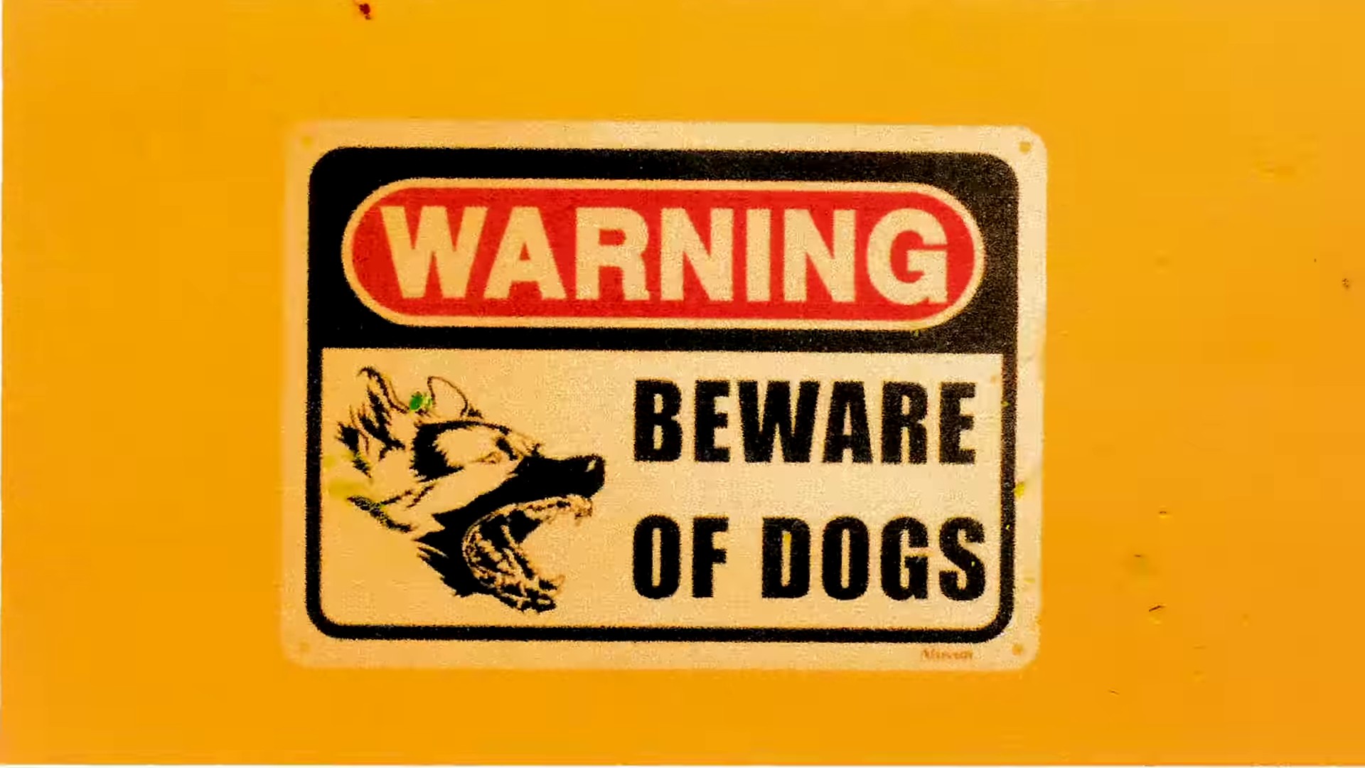 Danger  (2022) —  shot,  lighting