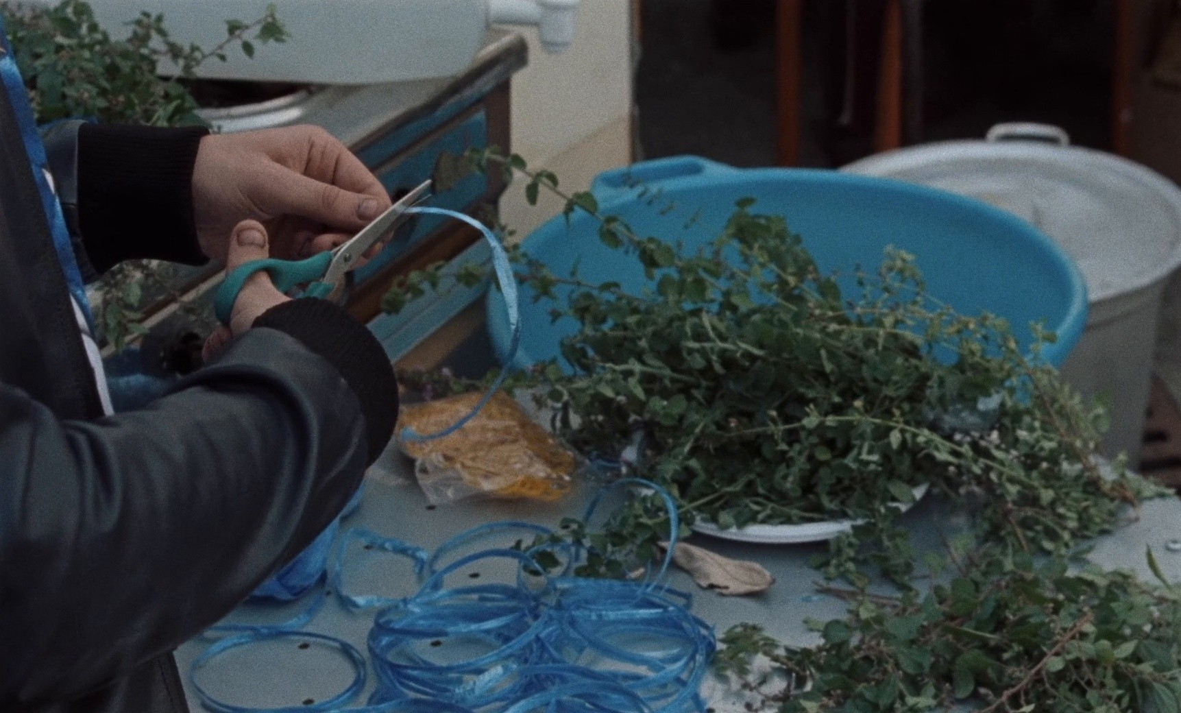 Happy as Lazzaro (2018) —  shot,  lighting