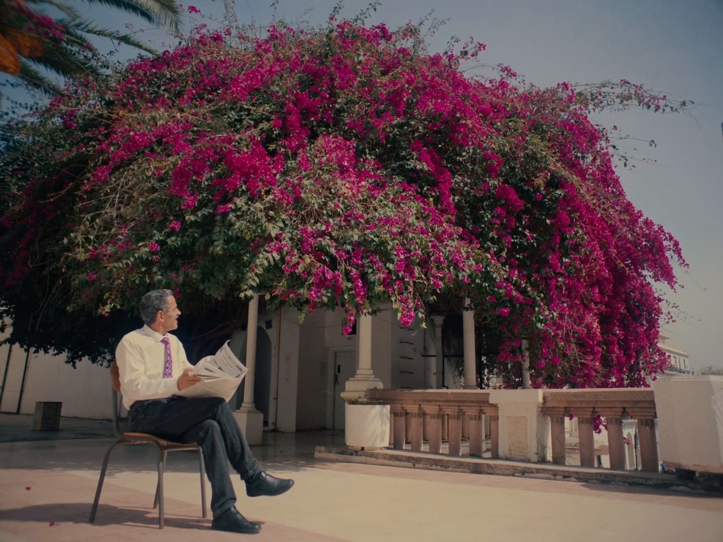 Vénus - Eden Garden (DC) (2024) —  shot,  lighting