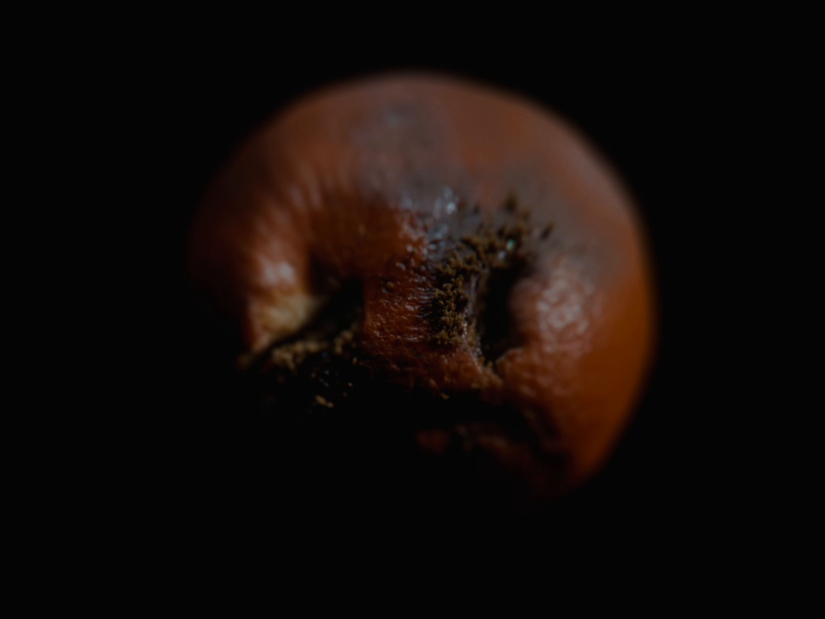 DON’T YOU SEE ME TRYING ? (2026) —  shot,  lighting