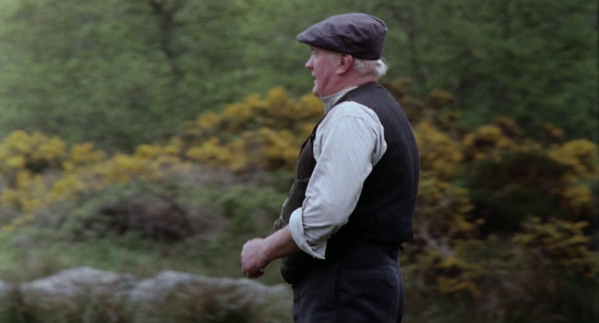 The Wind that Shakes the Barley (2006) —  shot,  lighting