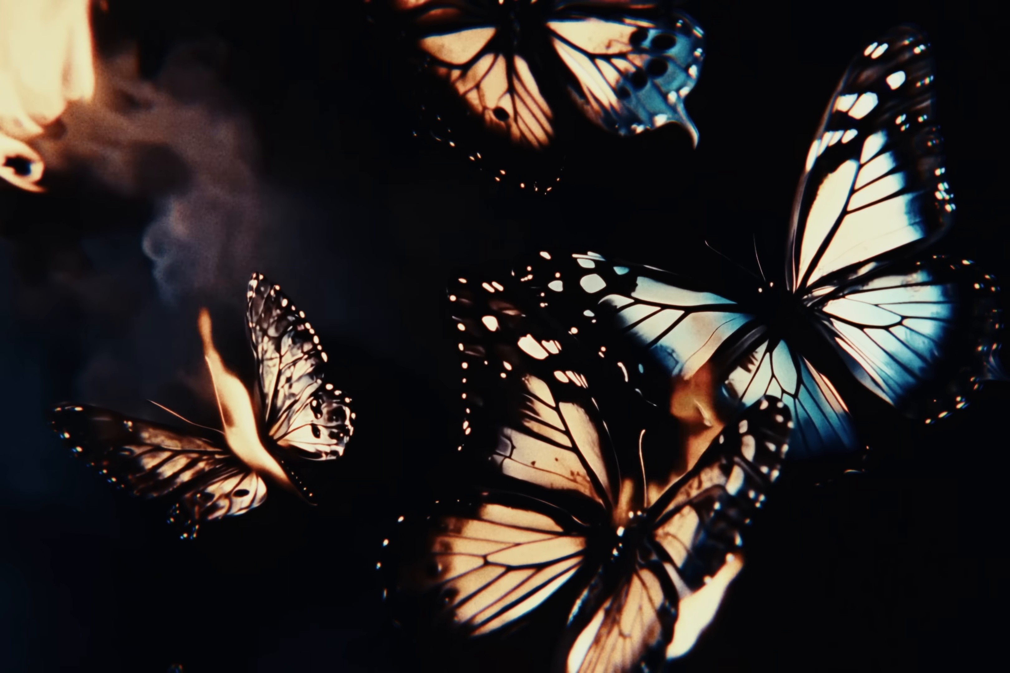 Farbenblind (2024) —  shot,  lighting