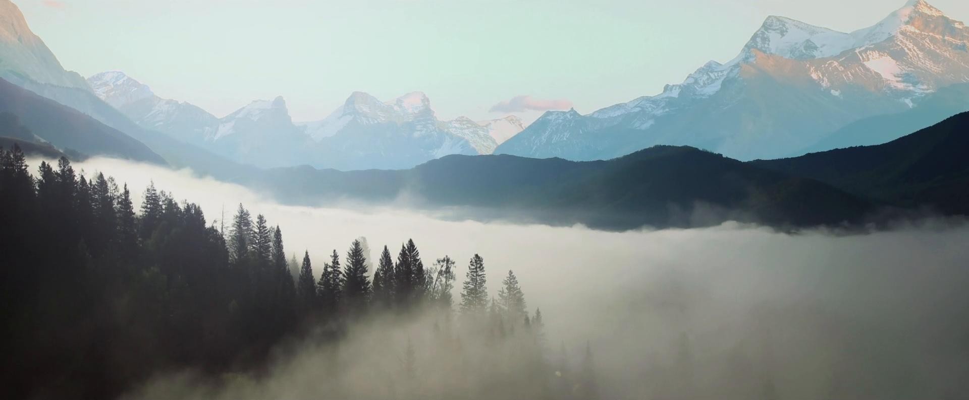 IG - Air Transat Moose (2017) —  shot,  lighting