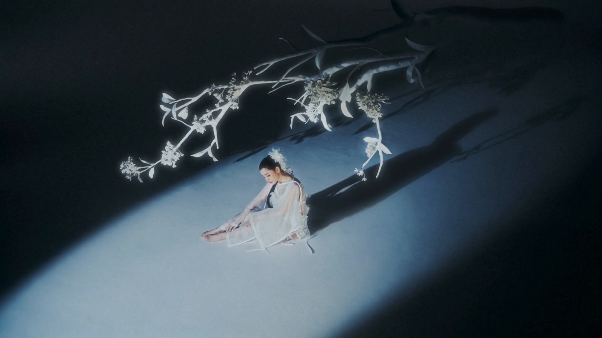 [DIR+DP] PANPURI | HEAVEN MOON OSMANTHUS (2024) —  shot,  lighting