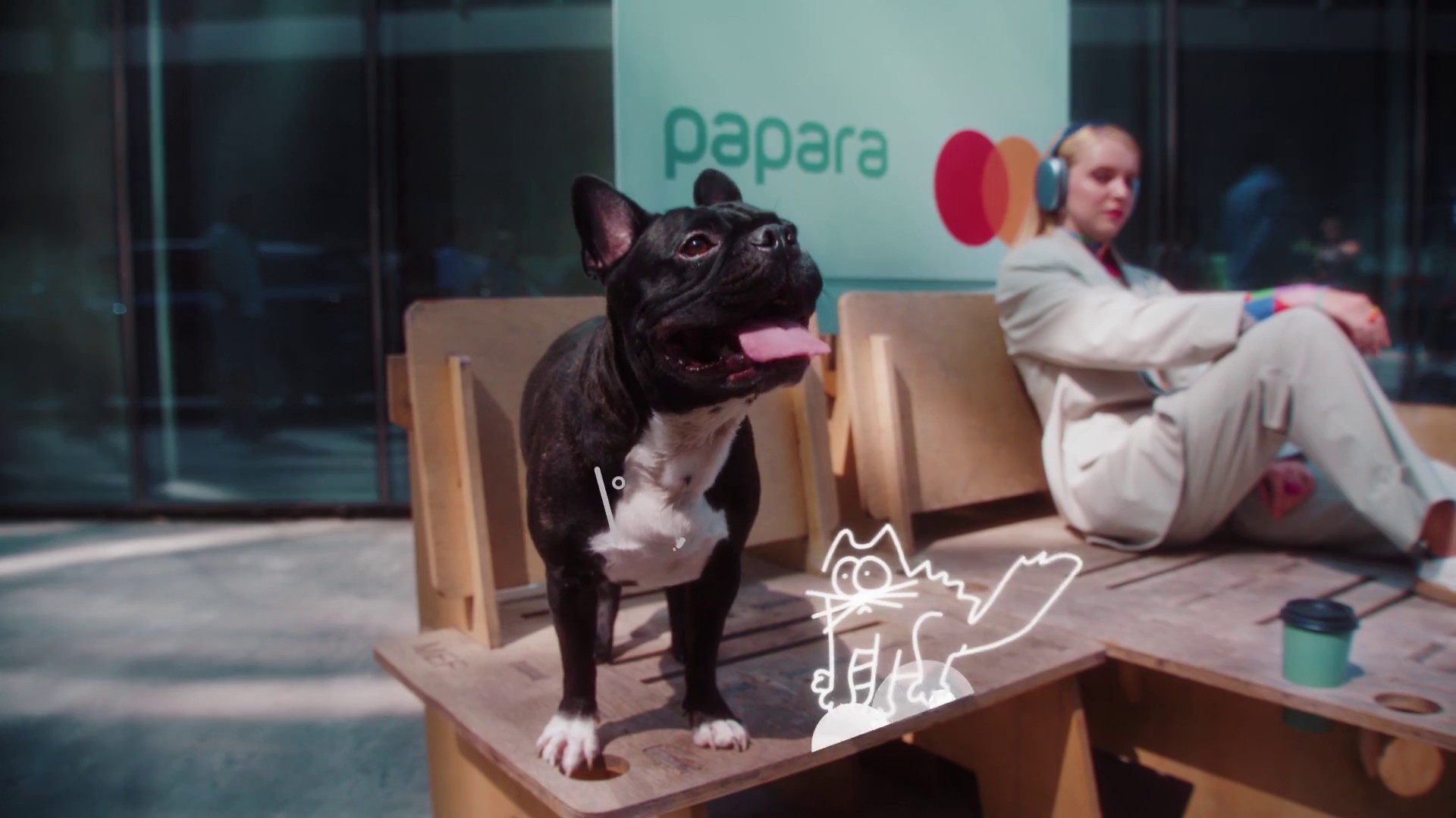 PAPARA (2024) —  shot,  lighting