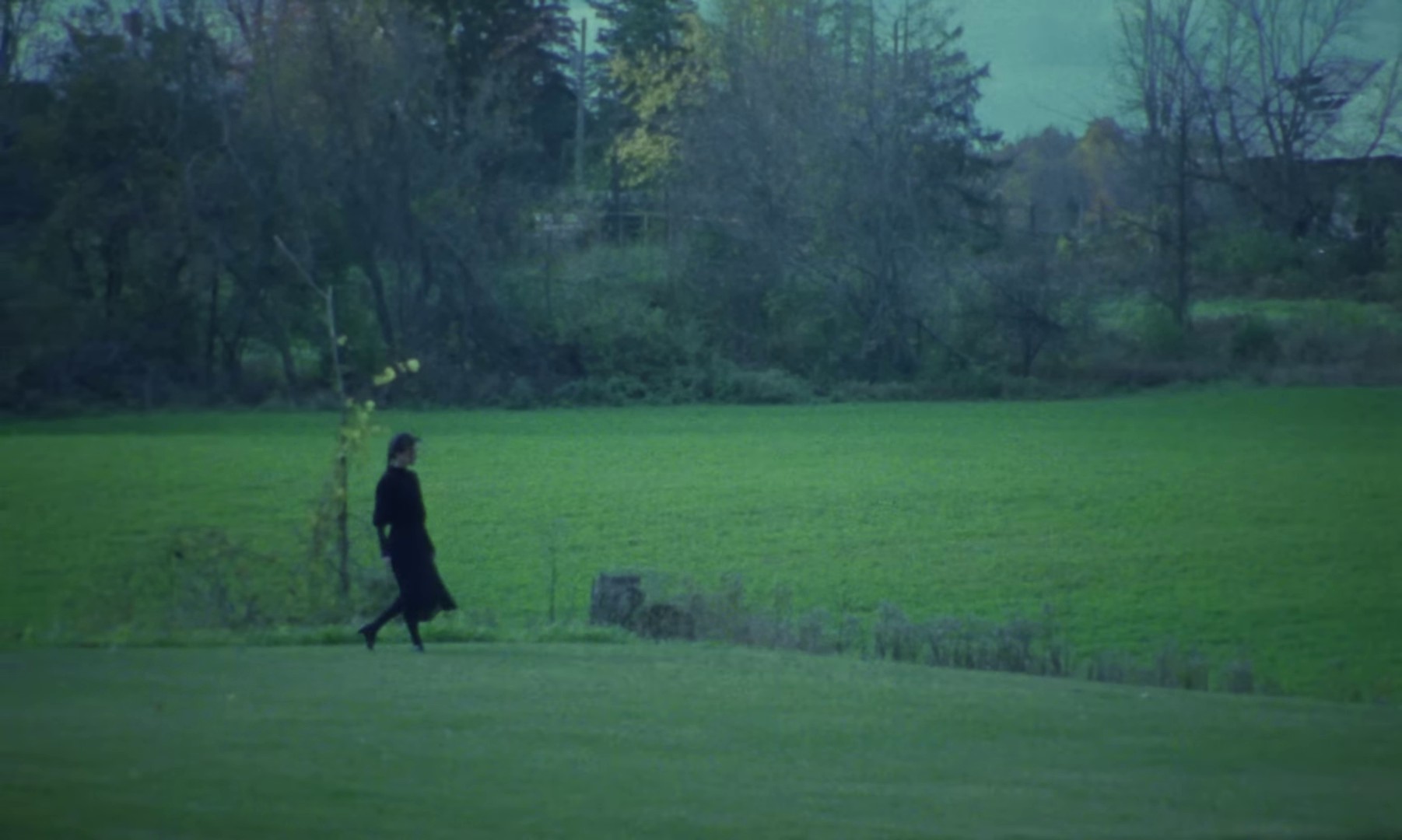 Golden Eyes (2023) —  shot,  lighting