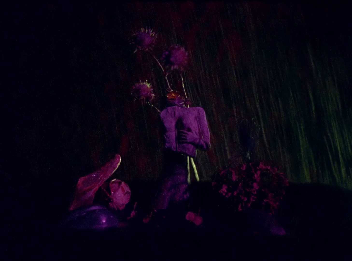 Y a-t-il une vierge encore vivante? (2015) —  shot,  lighting