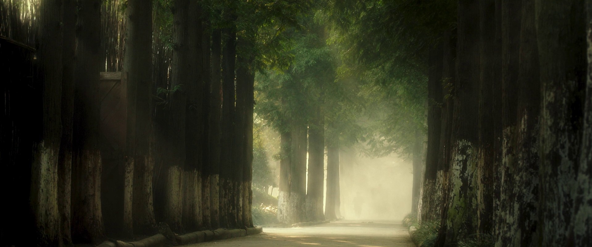  Assassination (2015) —  shot,  lighting