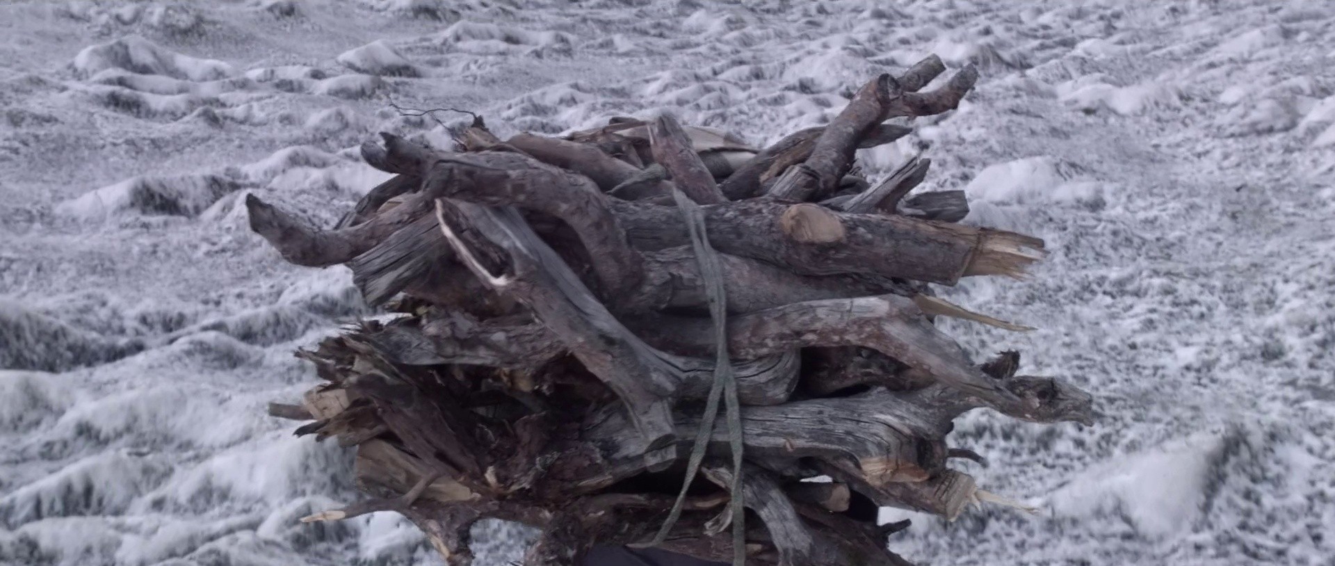 The Gold-Laden Sheep and the Sacred Mountain (2022) —  shot,  lighting