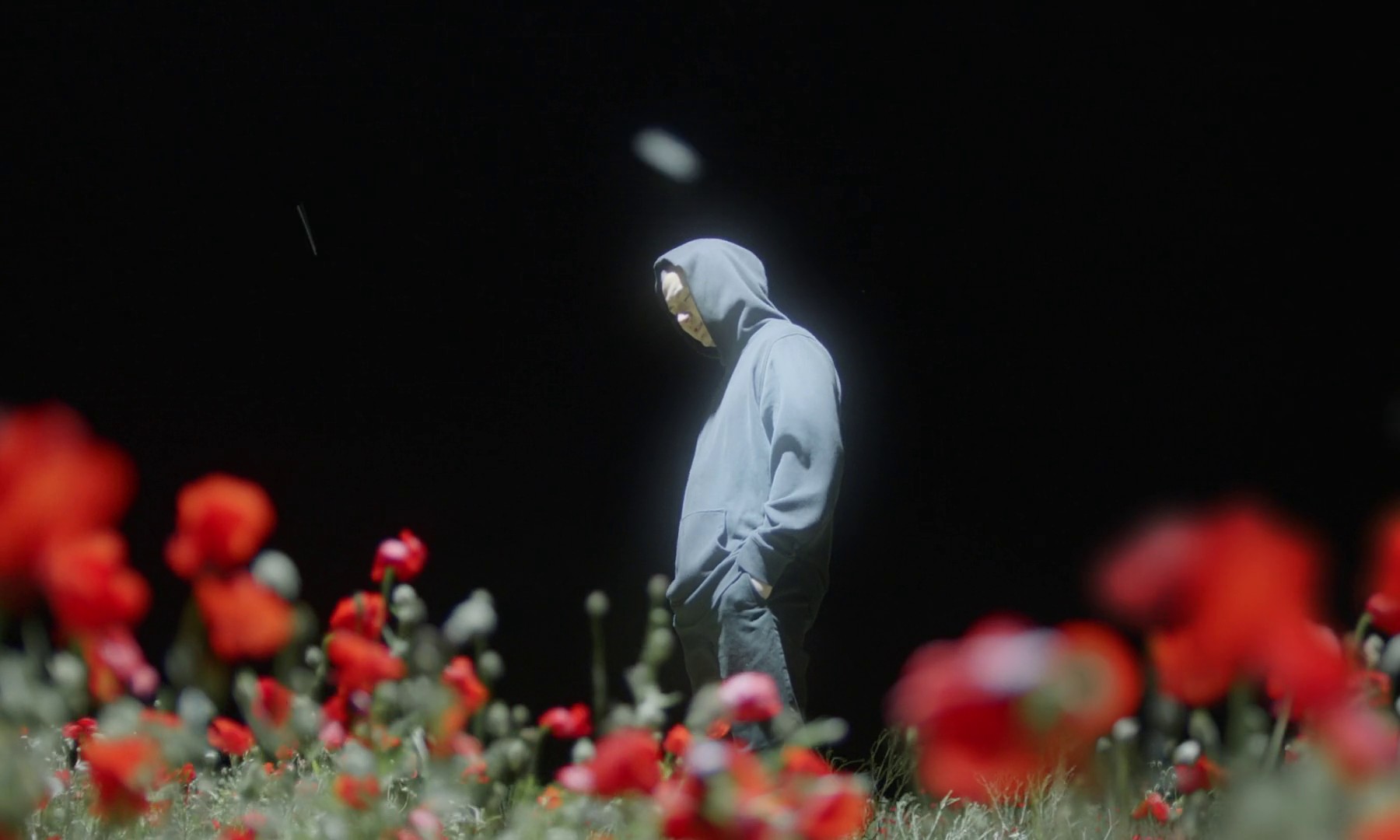 kensshi (2019) —  shot,  lighting