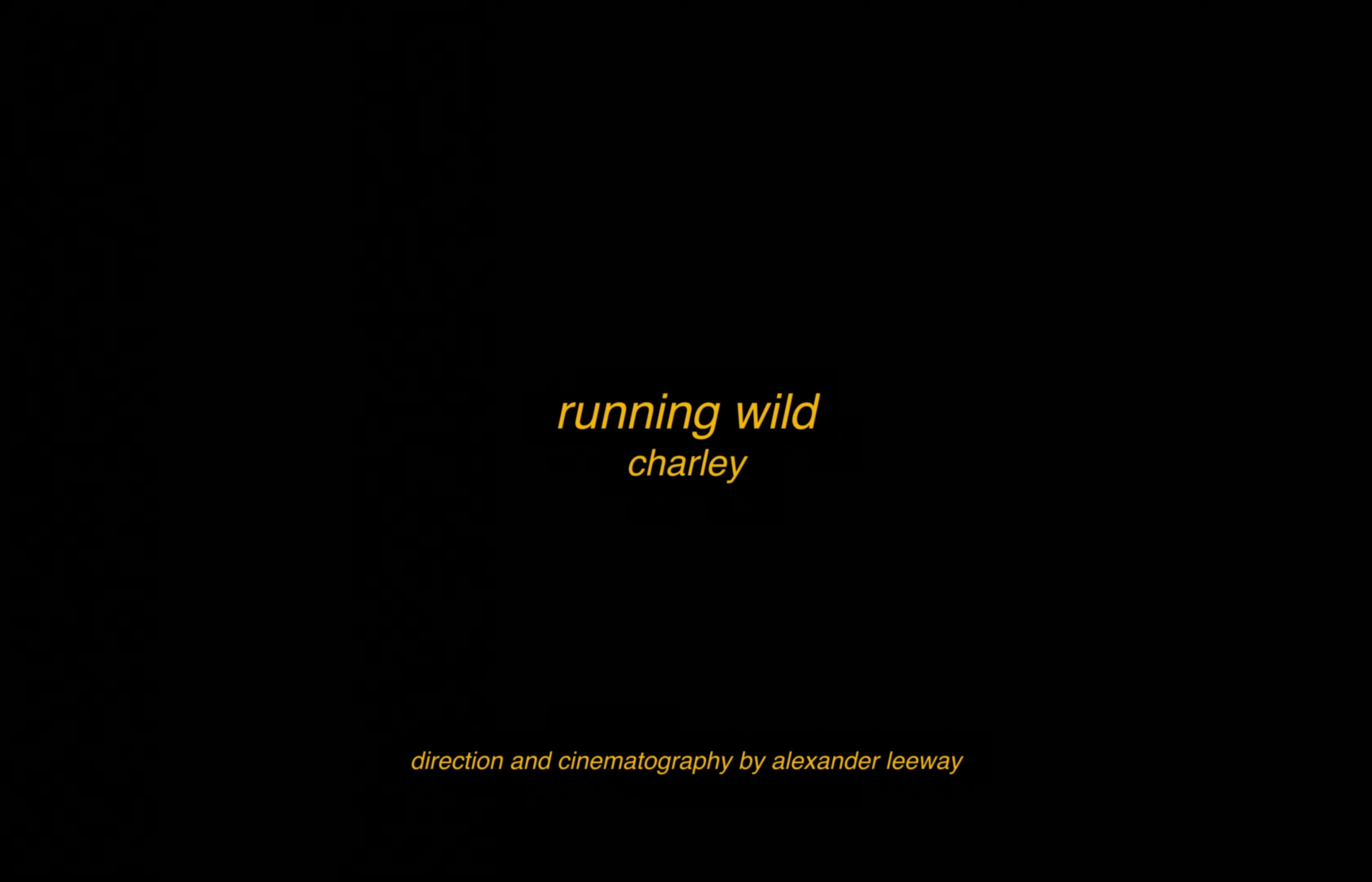 Running Wild  (2023) —  shot,  lighting