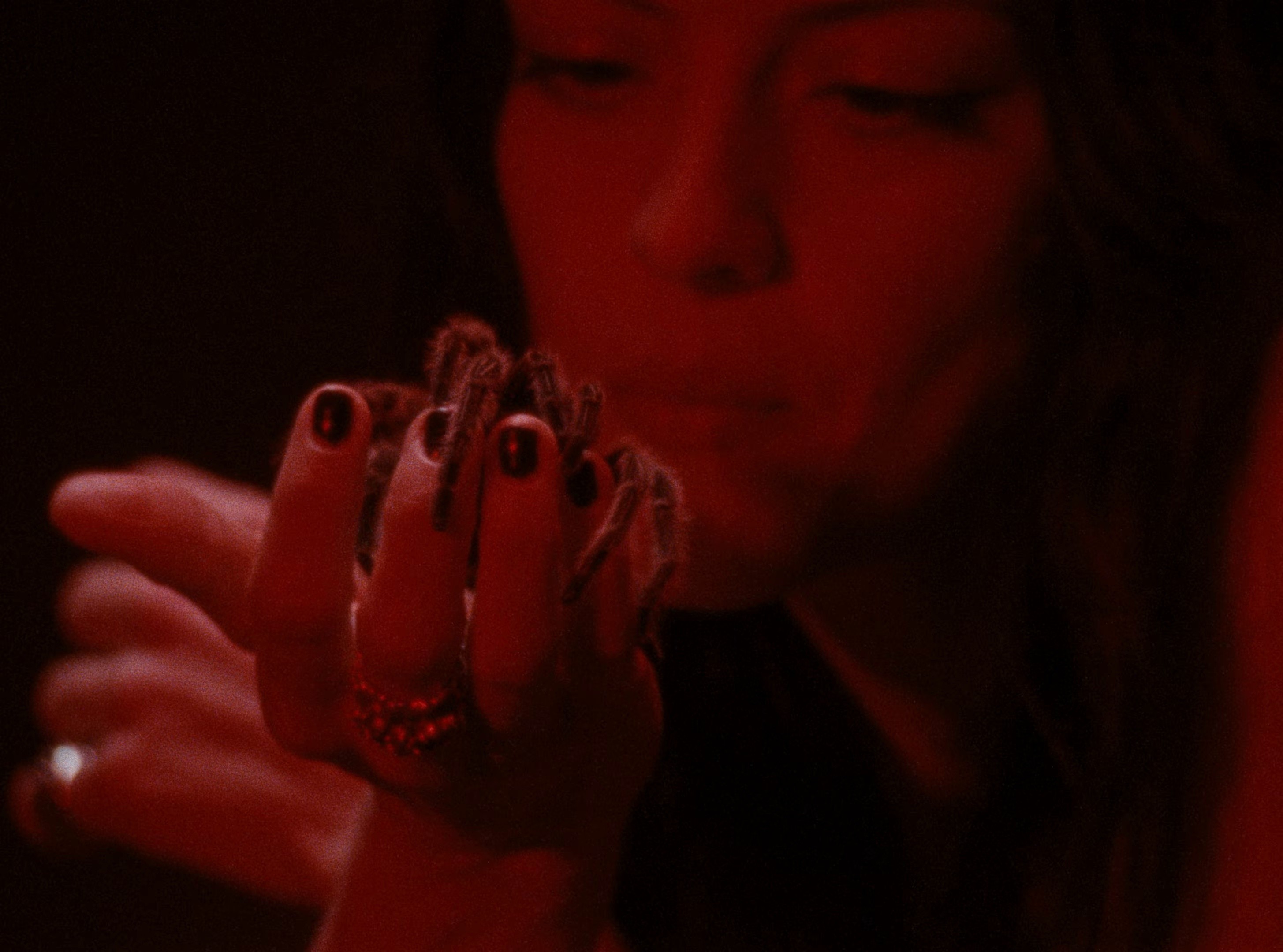 Not the Only One (2026) —  shot,  lighting