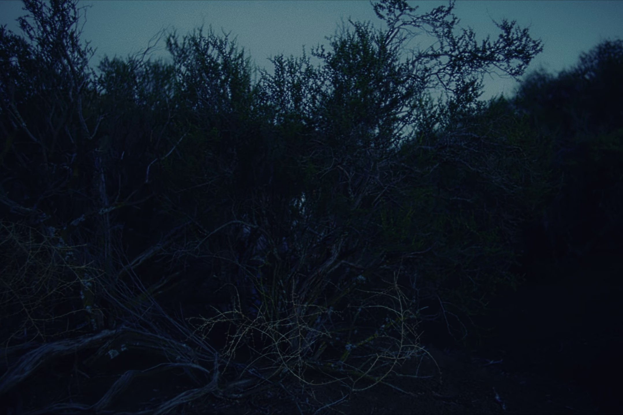 I Can't Help But Feel (2022) —  shot,  lighting