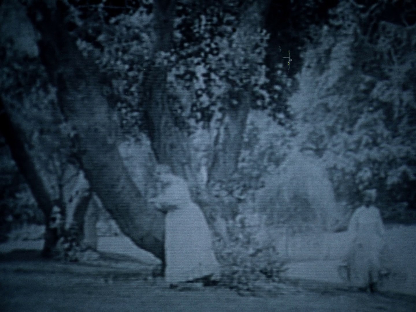 The Watermelon Woman (1997) —  shot,  lighting