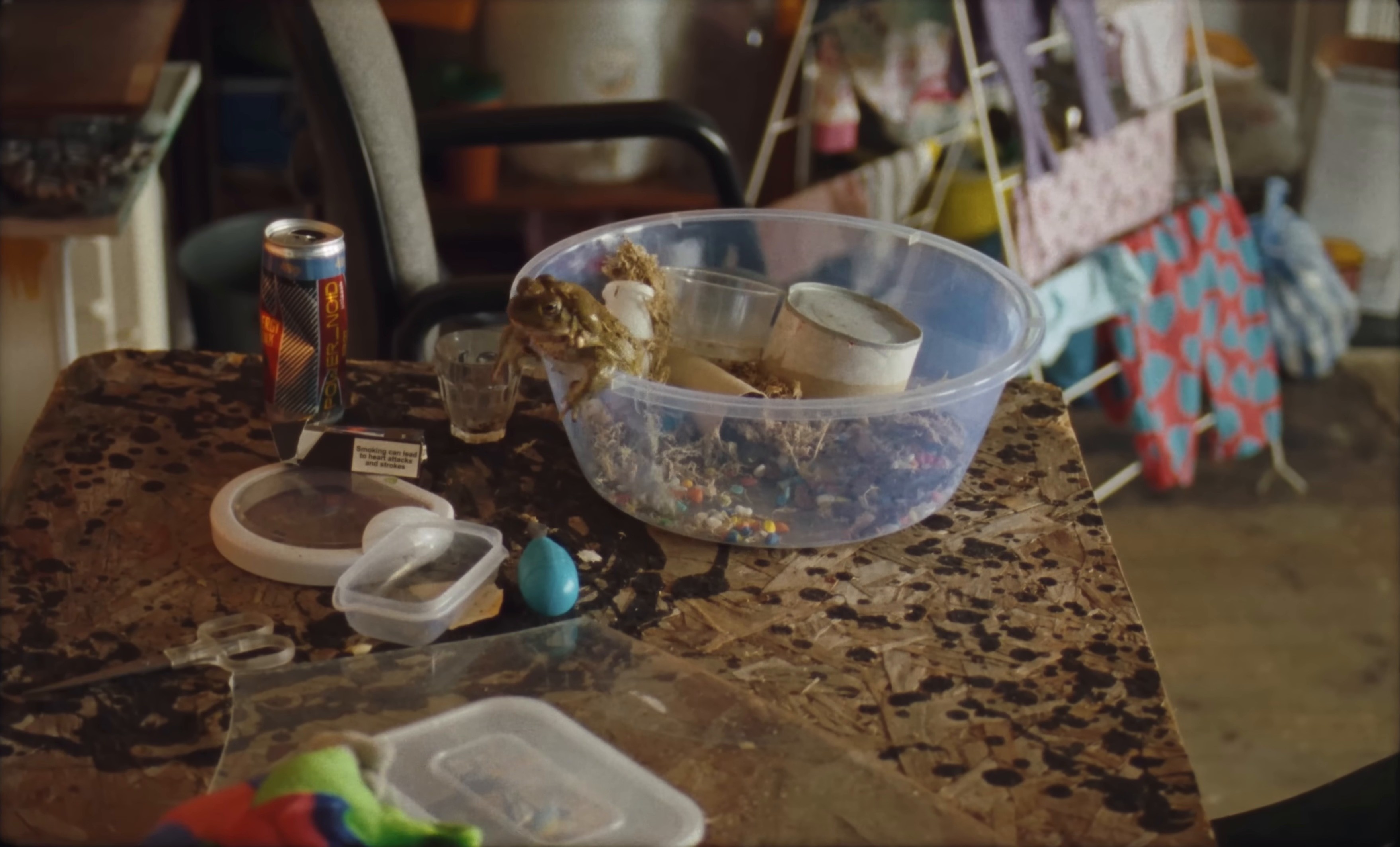 Bug (2024) —  shot,  lighting