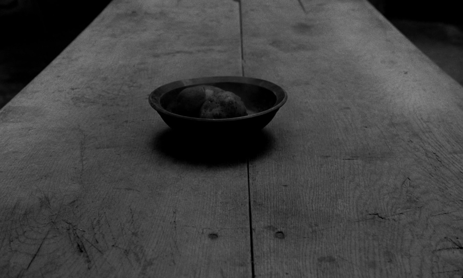The Turin Horse (2012) —  shot,  lighting