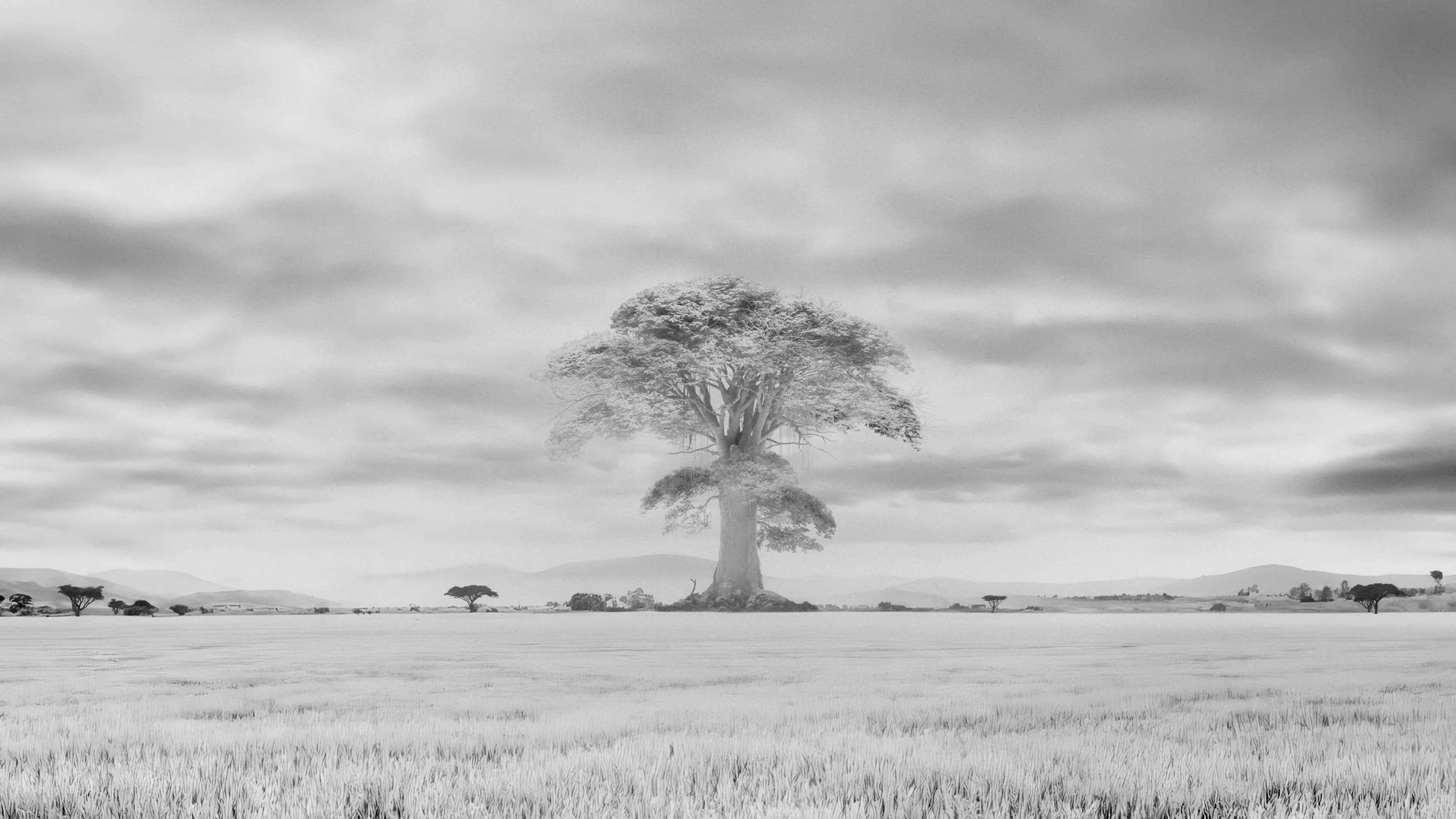 Can't Go Back (2023) —  shot,  lighting