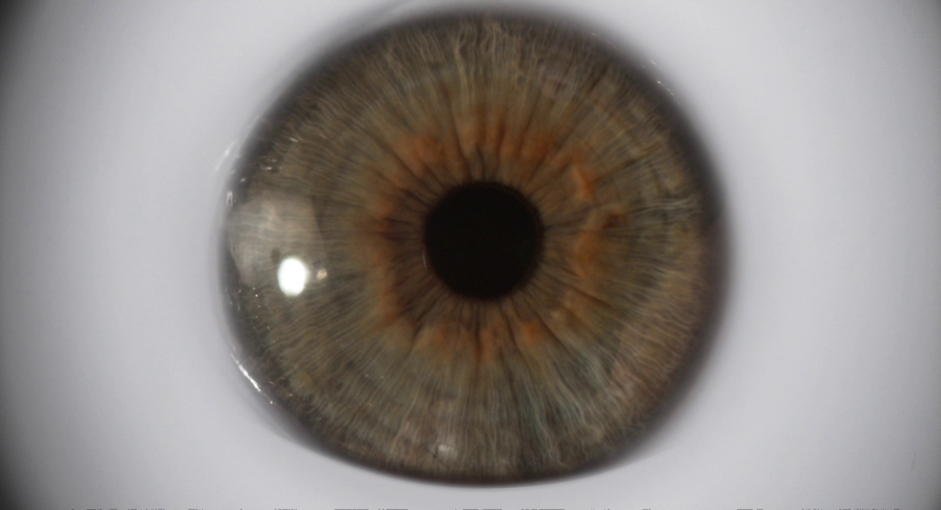 Under the Skin (2013) —  shot,  lighting