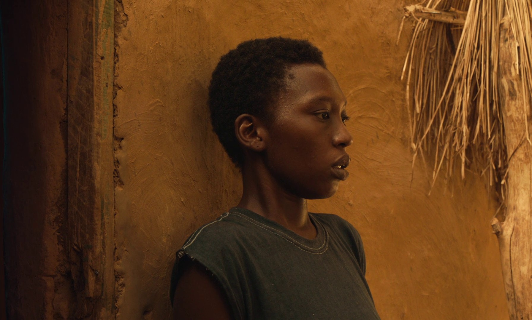 Banel & Adama (2023) —  shot,  lighting