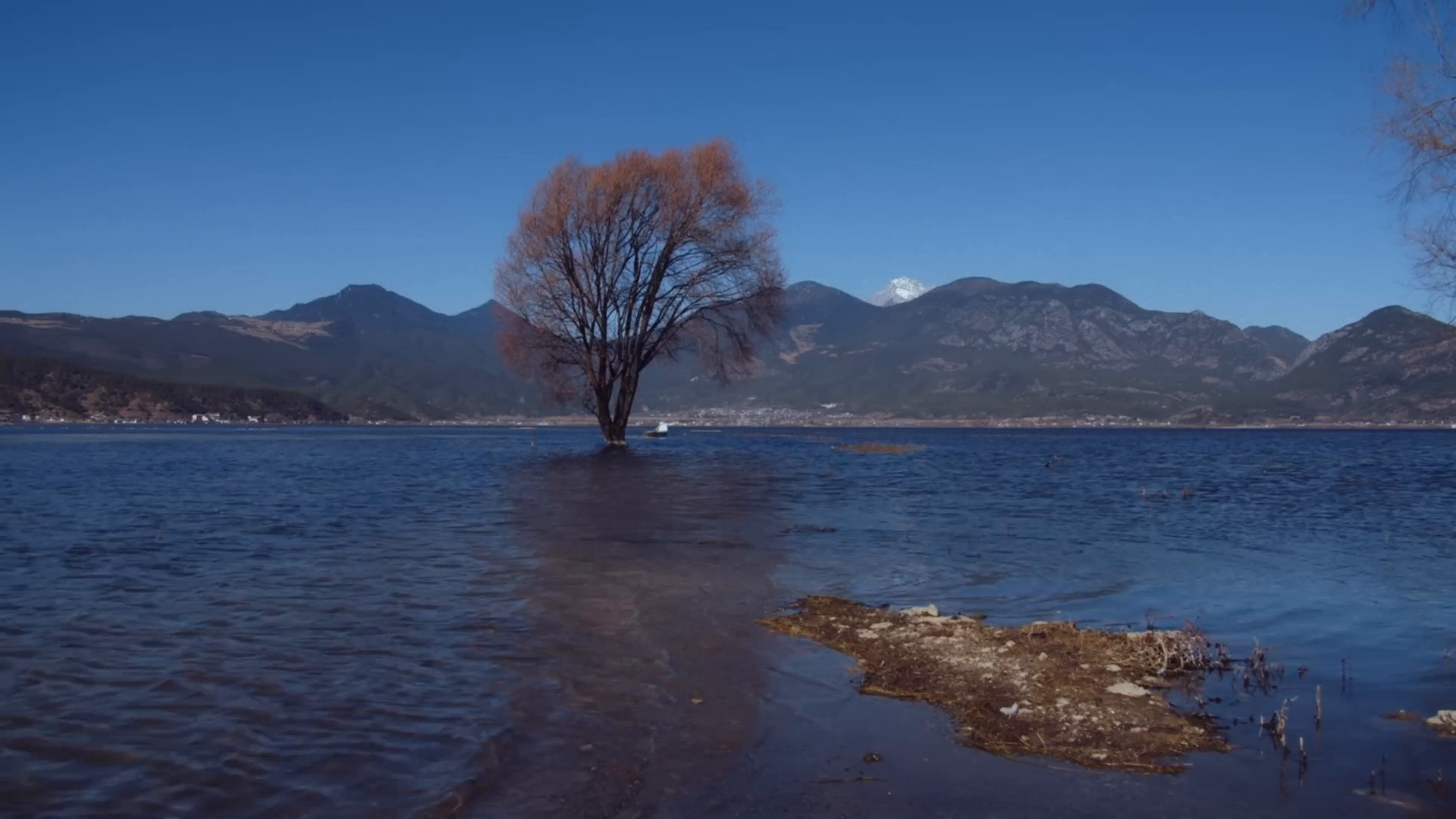 Caule de Bambu (2025) —  shot,  lighting