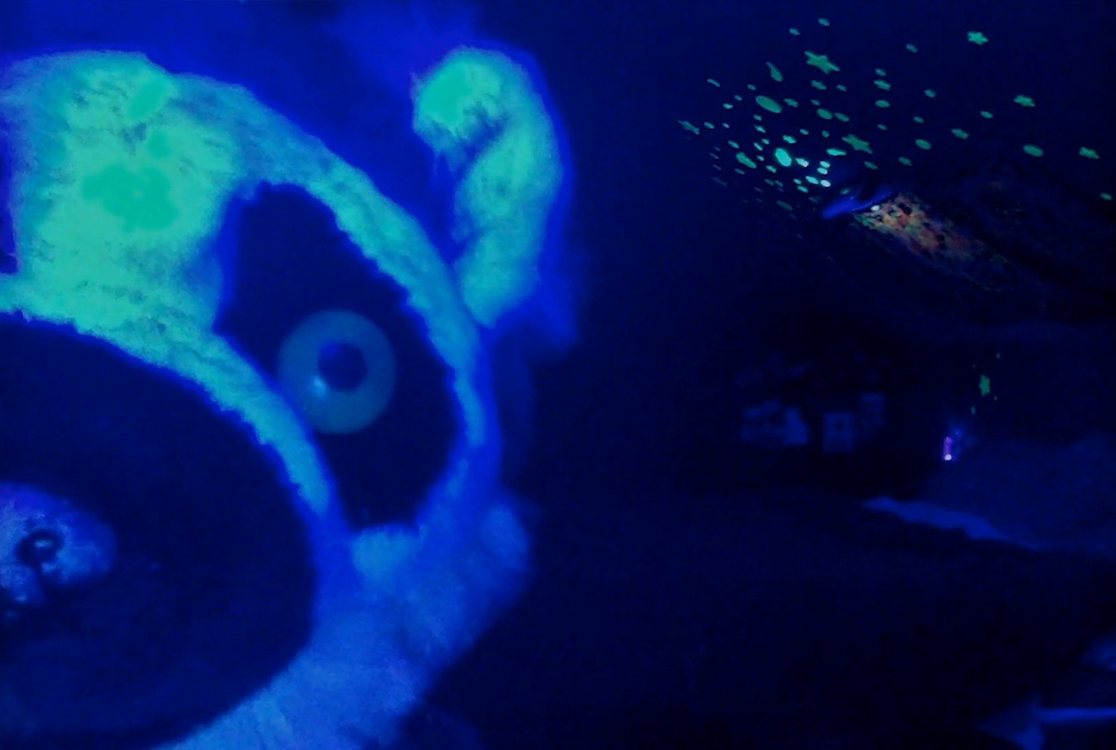 We're All Going to the World's Fair (2022) —  shot,  lighting