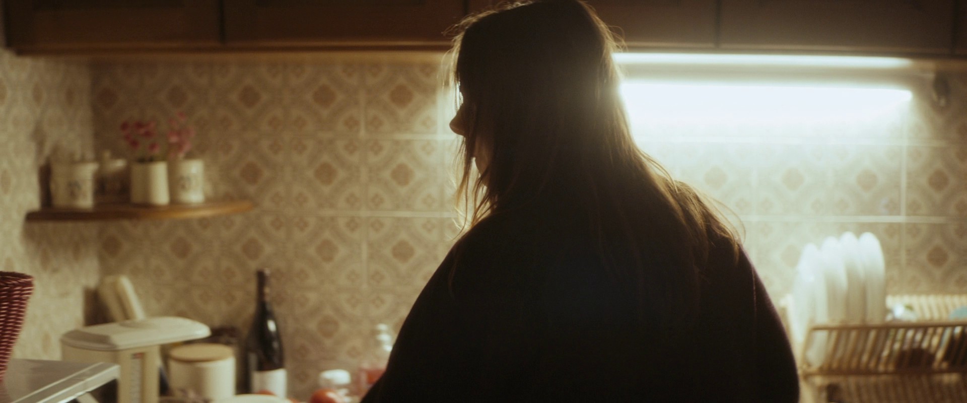 Only the Animals (2019) —  shot,  lighting