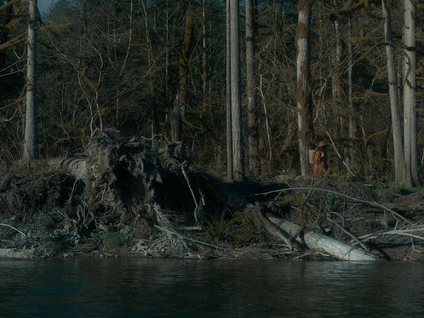 First Cow (2019) —  shot,  lighting