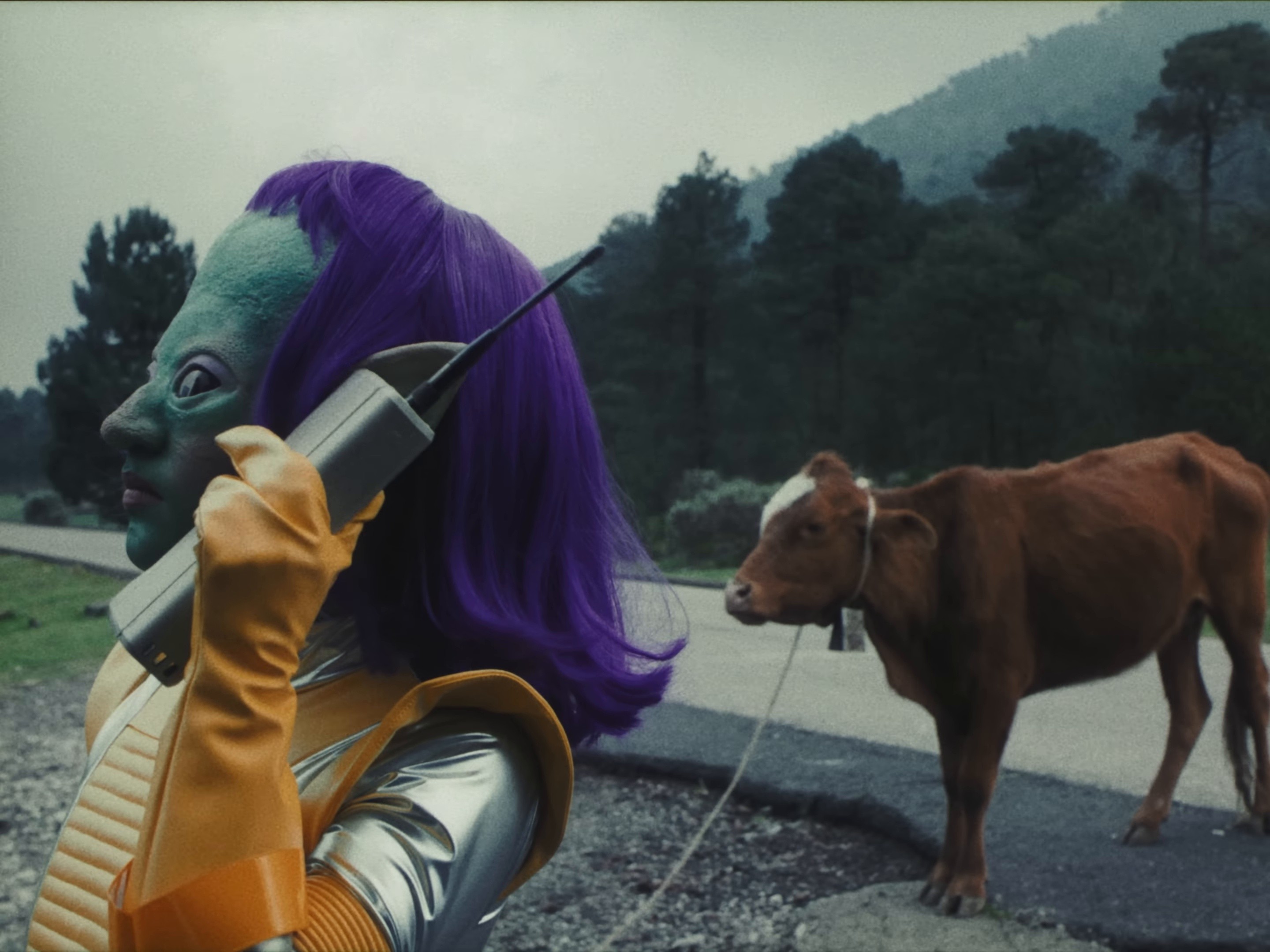 Show Pony (2024) —  shot,  lighting