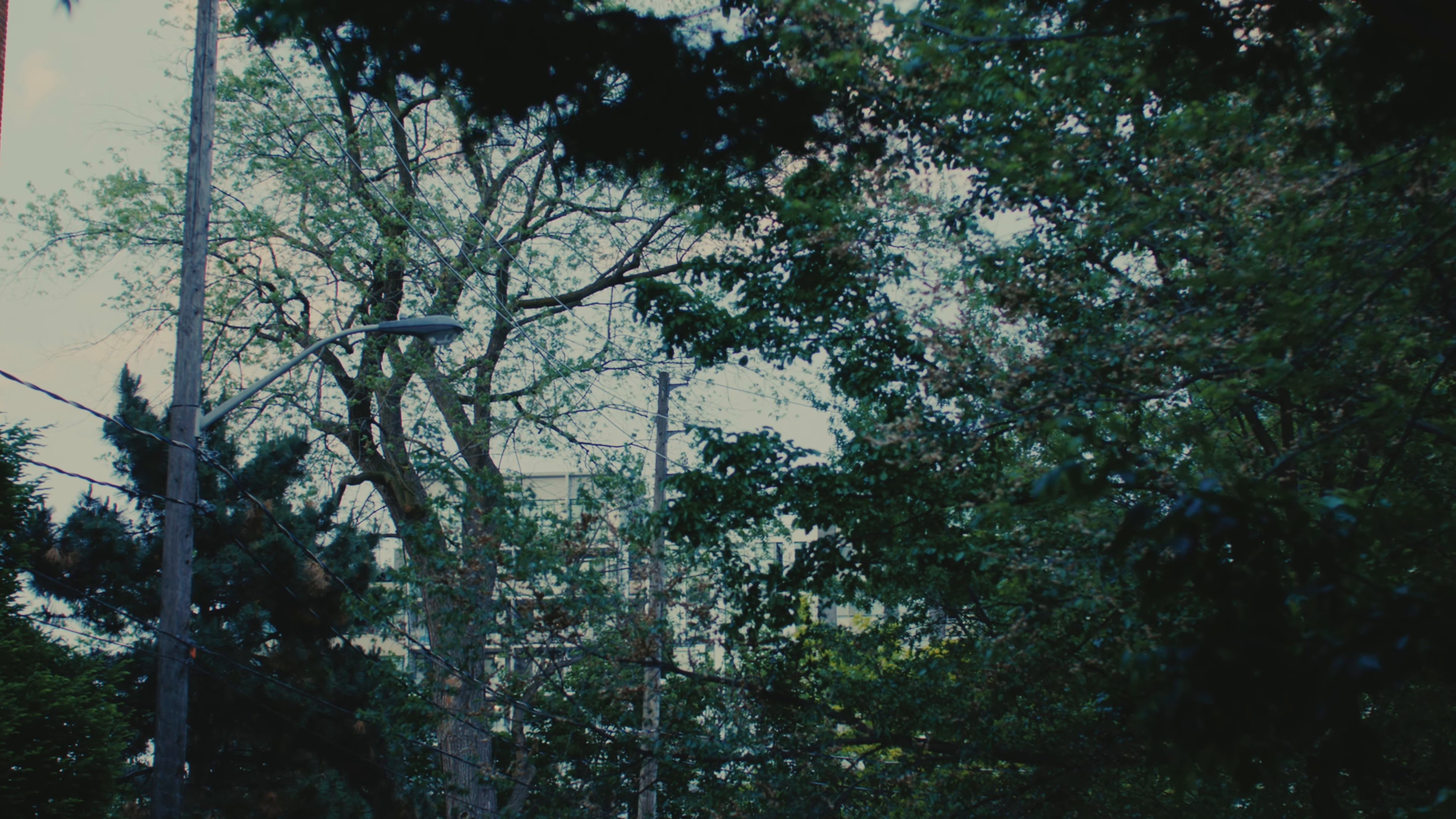 Cold in California  (2025) —  shot,  lighting