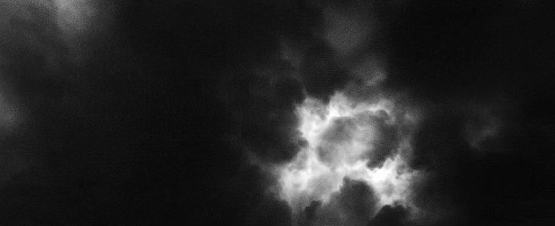 "Moment" | Xu Yingming x NexGard | DC (2024) —  shot,  lighting