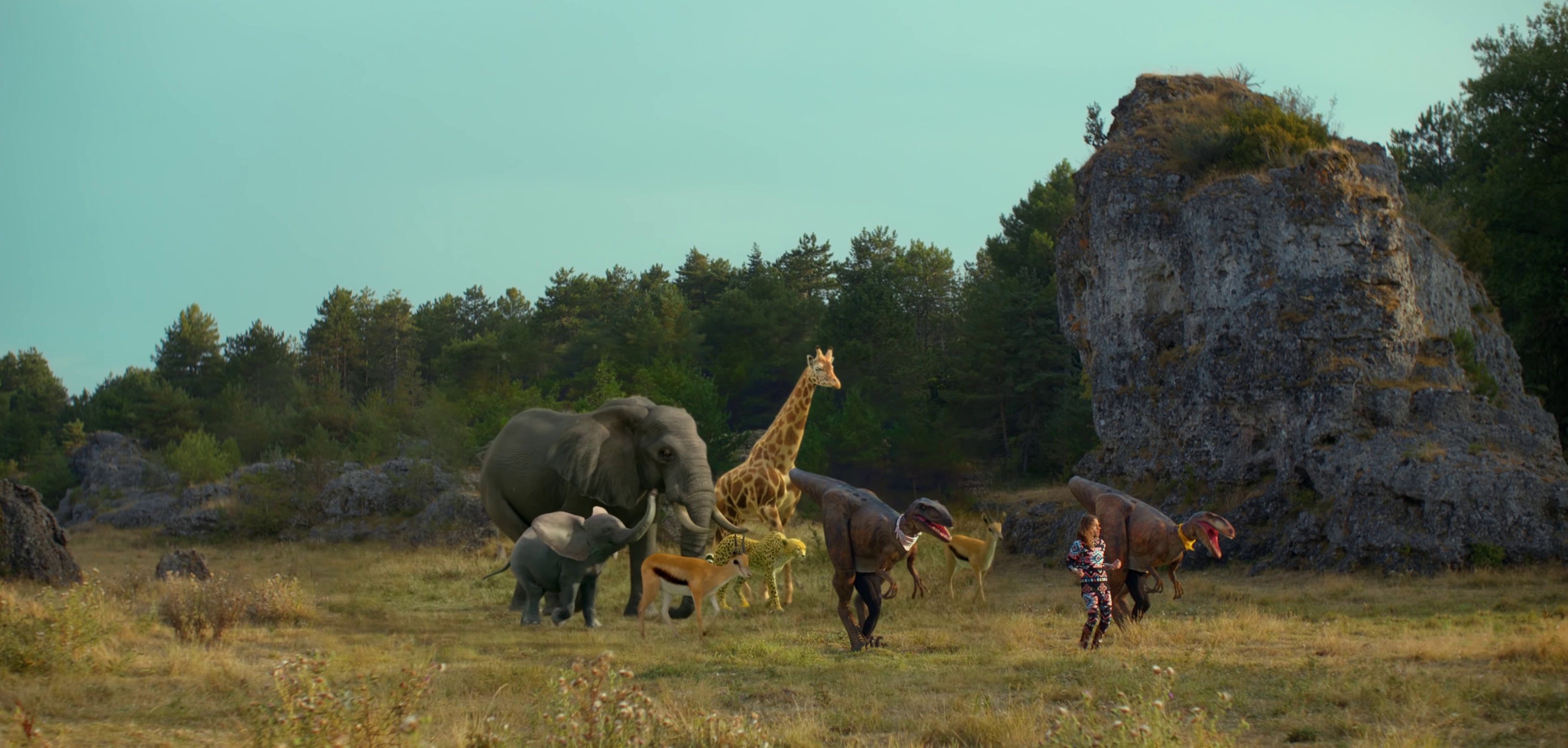 Nous (2020) —  shot,  lighting