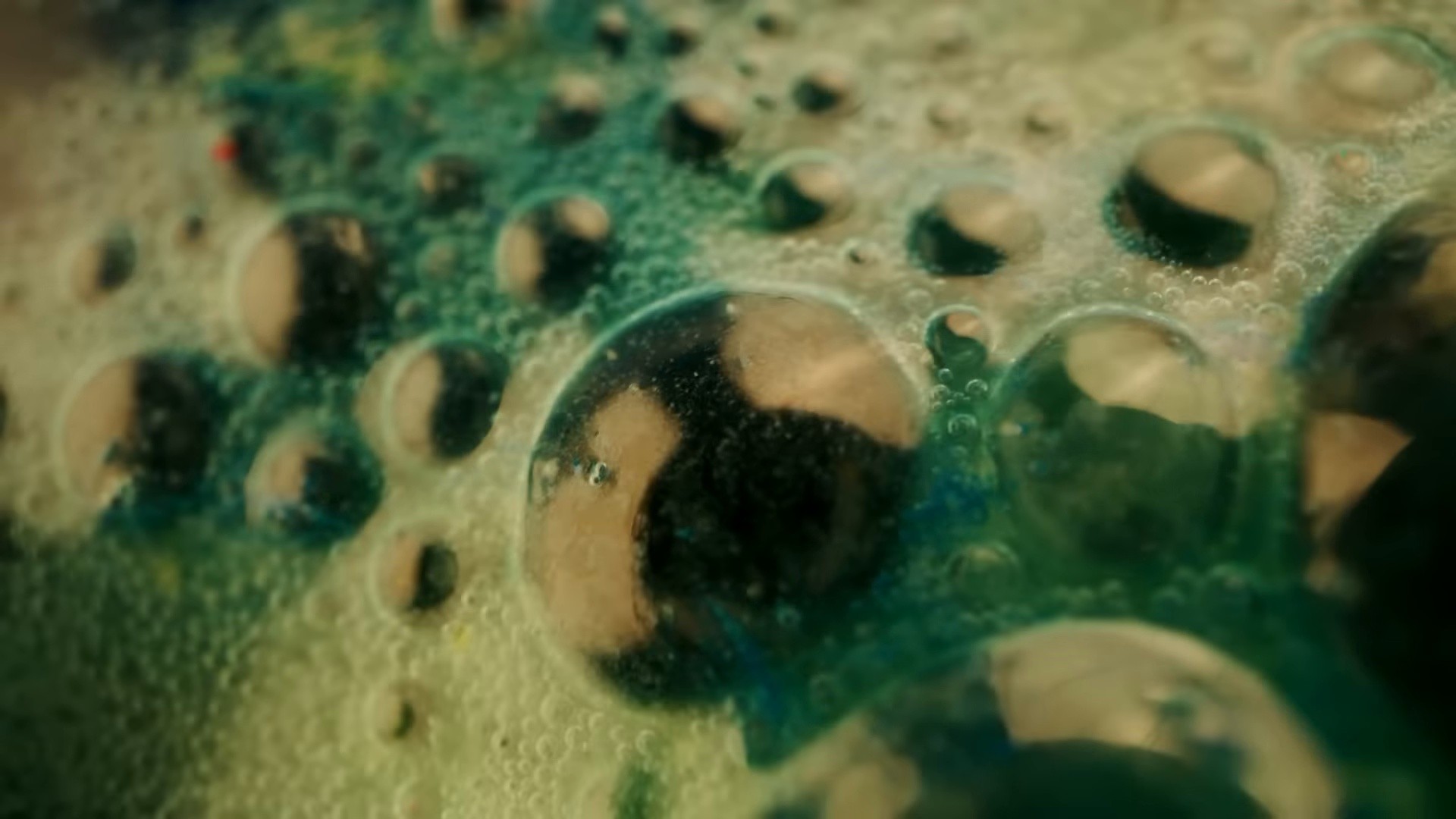 Wet (2024) —  shot,  lighting