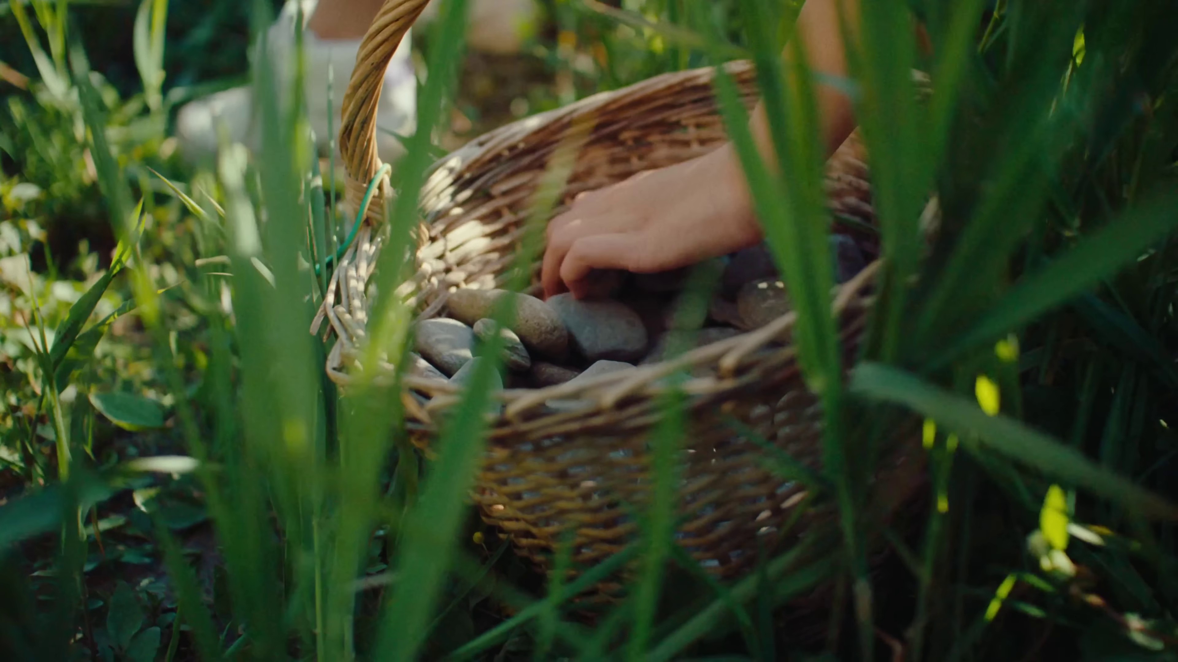 En vrai (2023) —  shot,  lighting