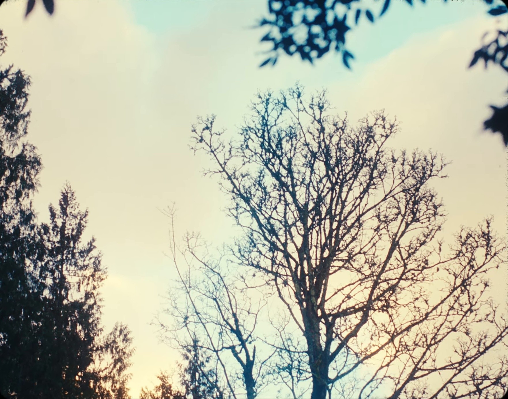 Red Equipment: Life's Better by the Water (2025) —  shot,  lighting