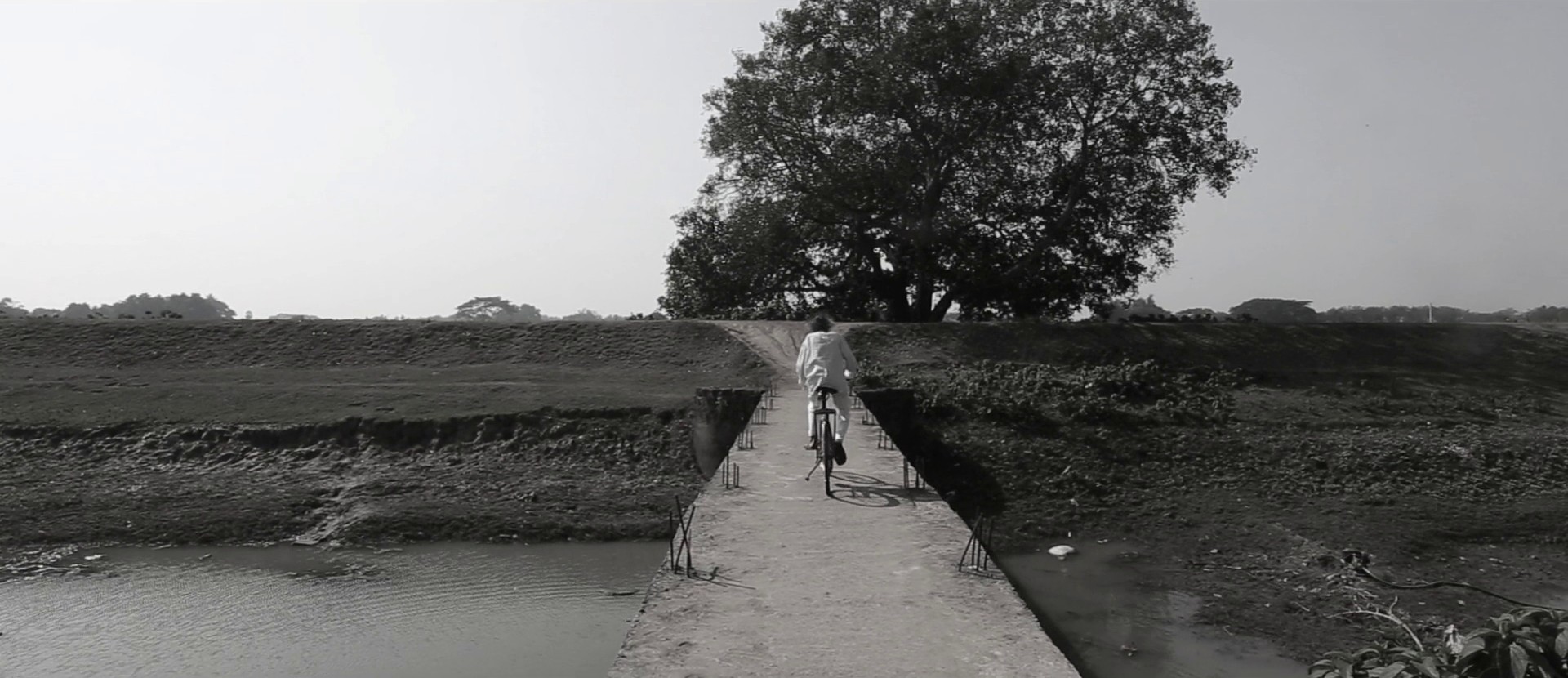 Adieu Godard (2022) —  shot,  lighting