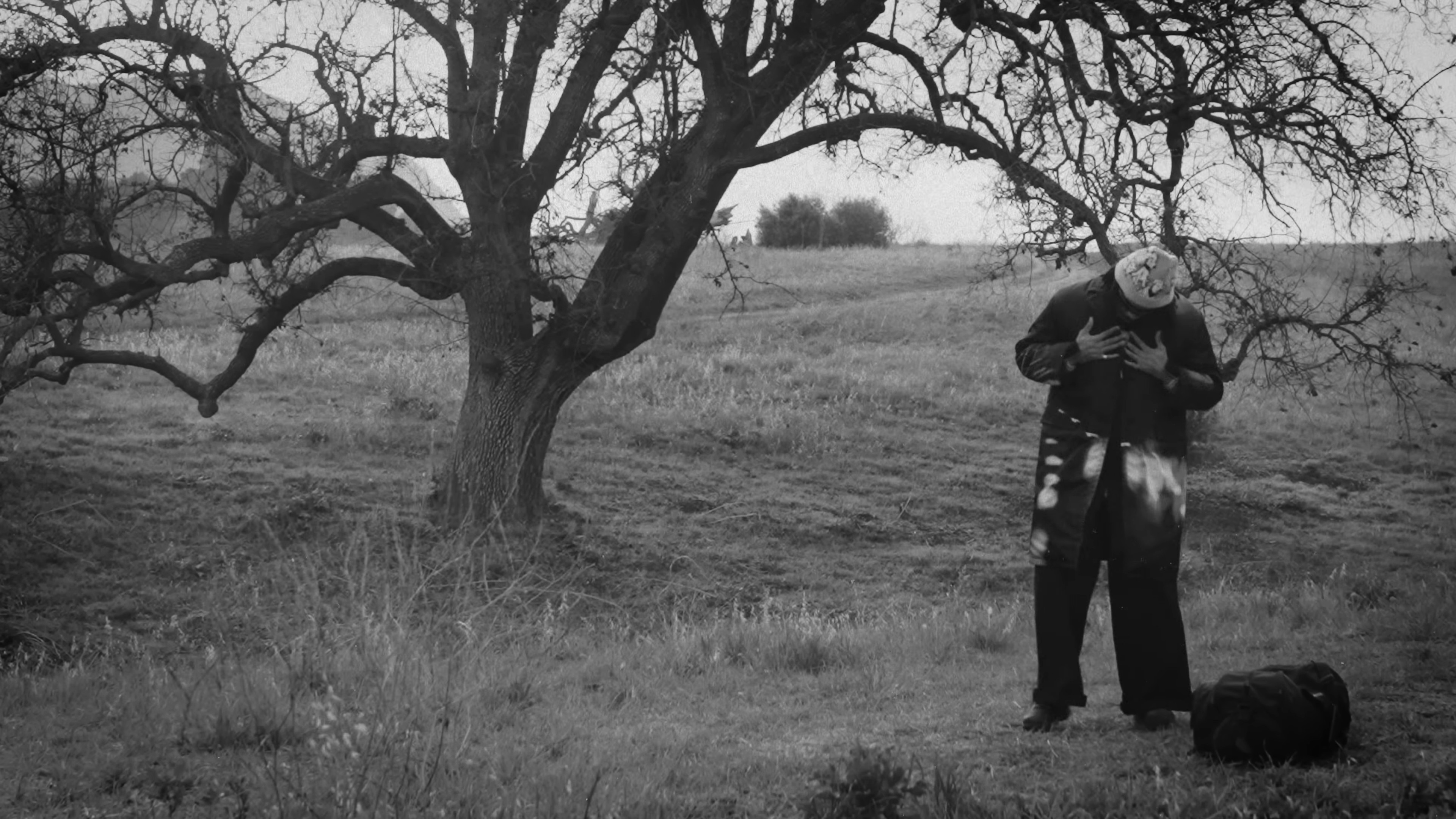 Instincts (2024) —  shot,  lighting