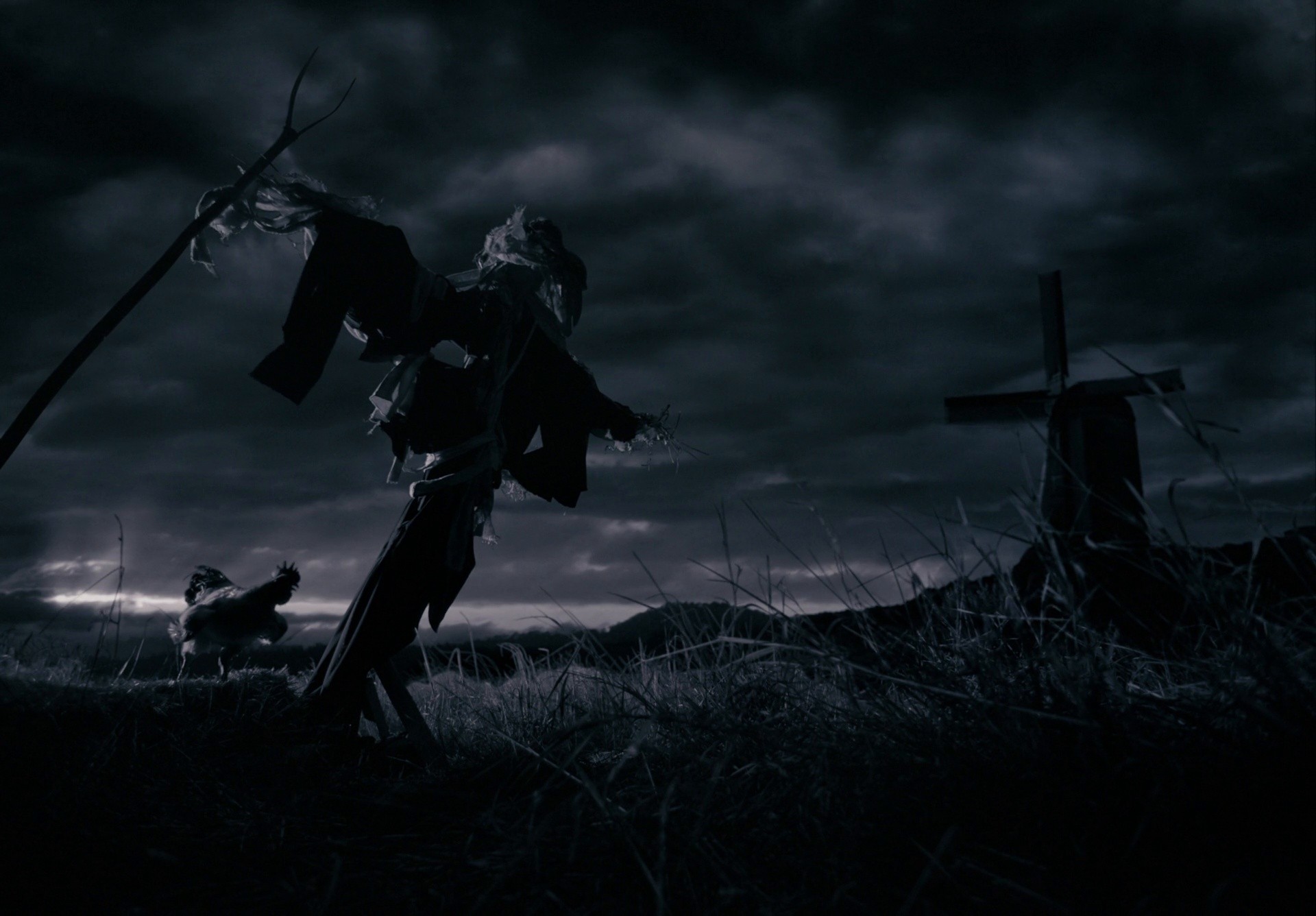 TONAL - FUTURE OF FITNESS (2024) —  shot,  lighting