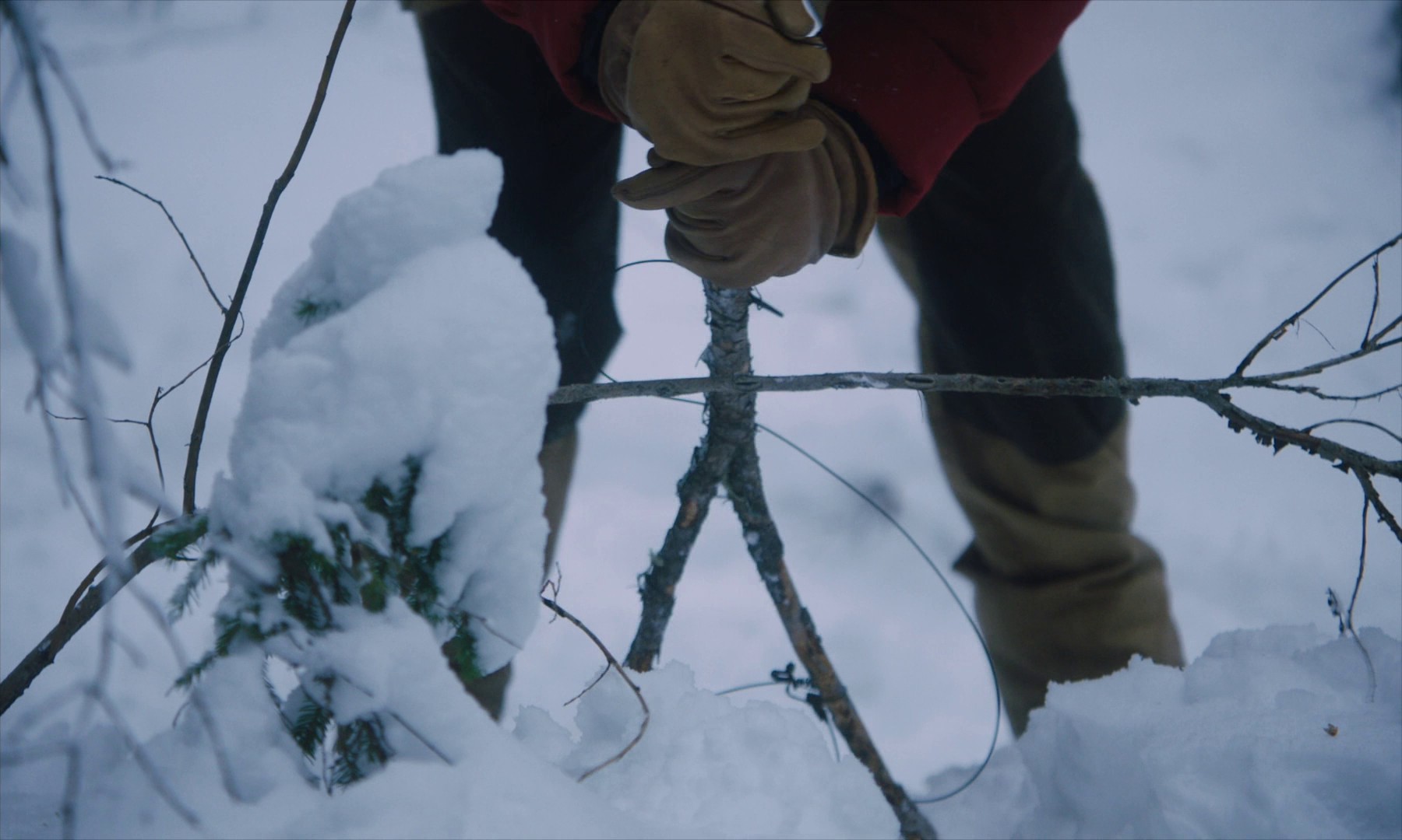 Land (2021) —  shot,  lighting