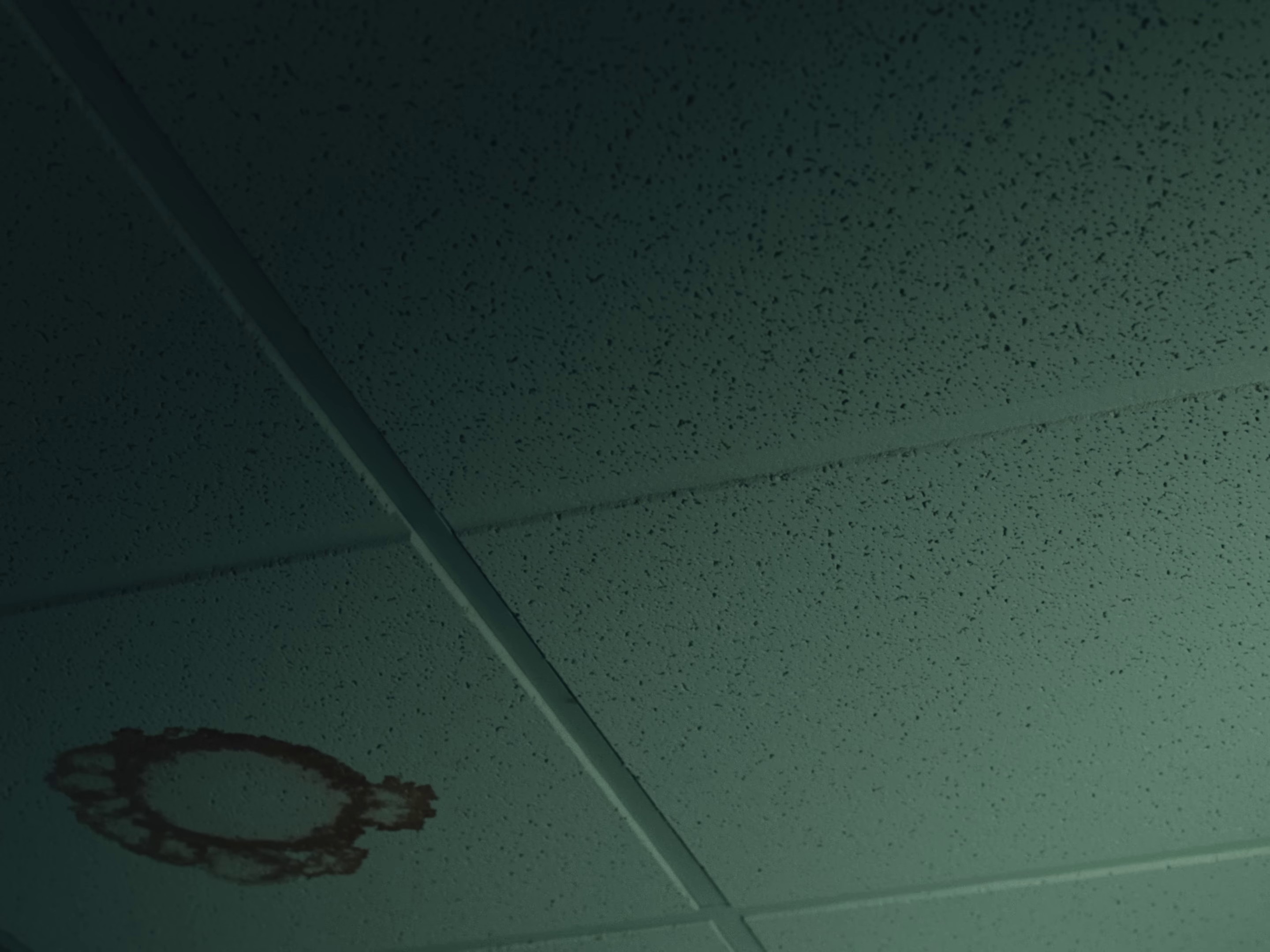 17250 (2023) —  shot,  lighting